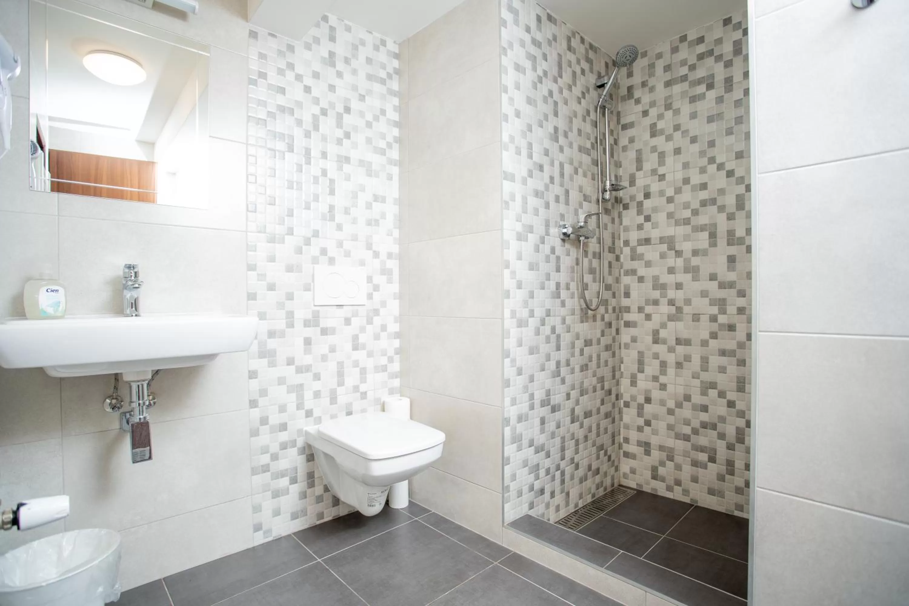 Bathroom in Hotel U koně