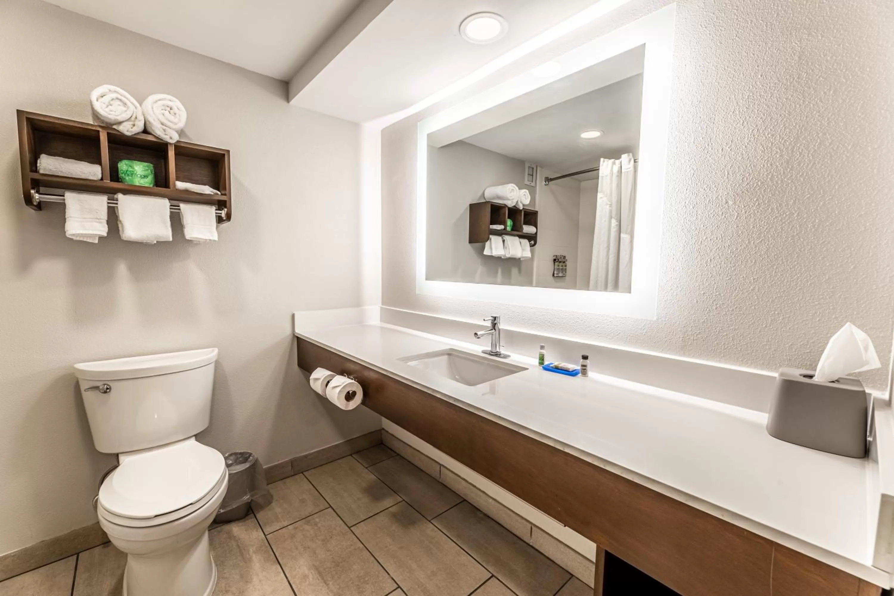 Bathroom in Holiday Inn Express Indianapolis South by IHG