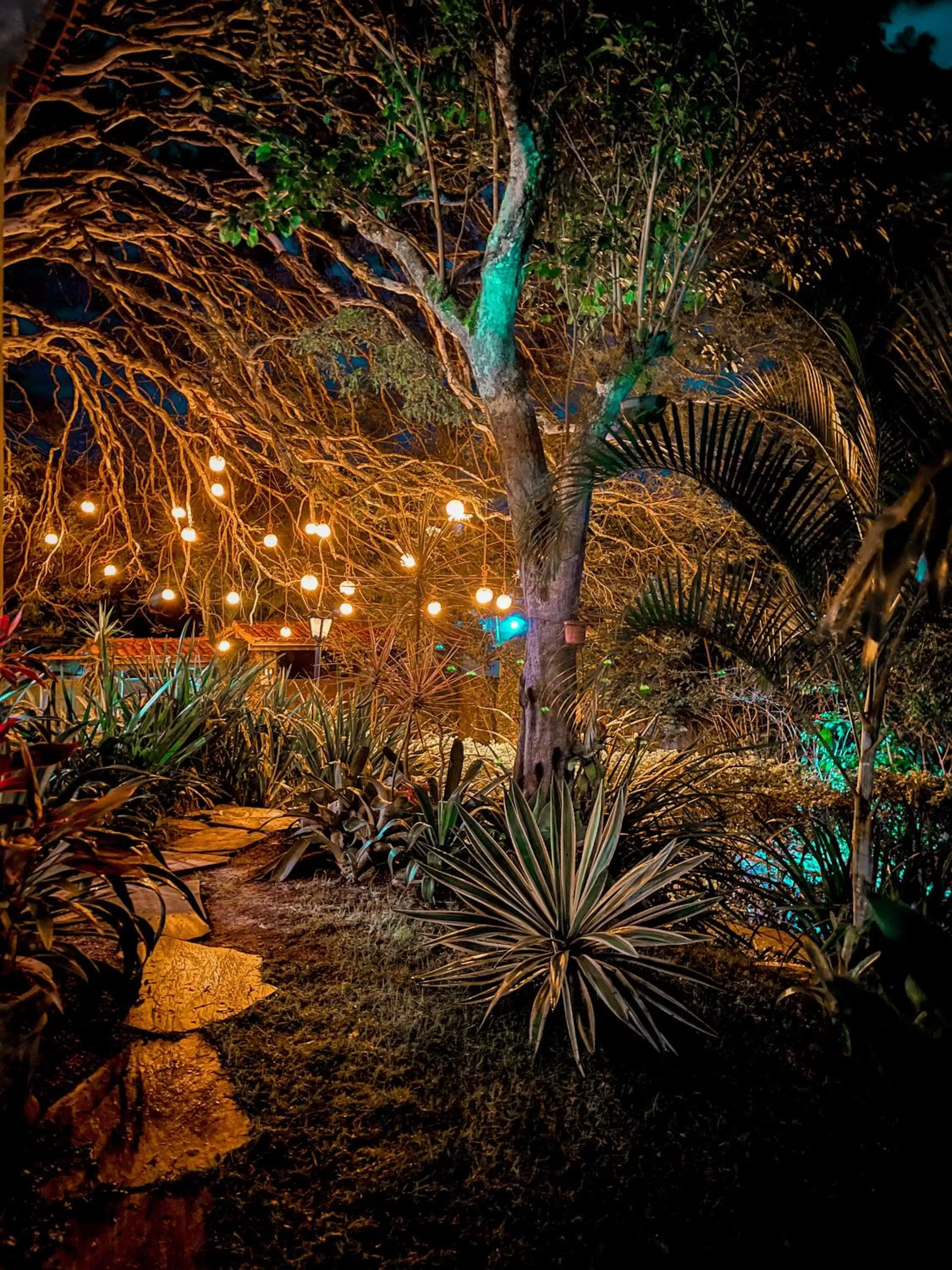 Night in Villa Bella Ferradura