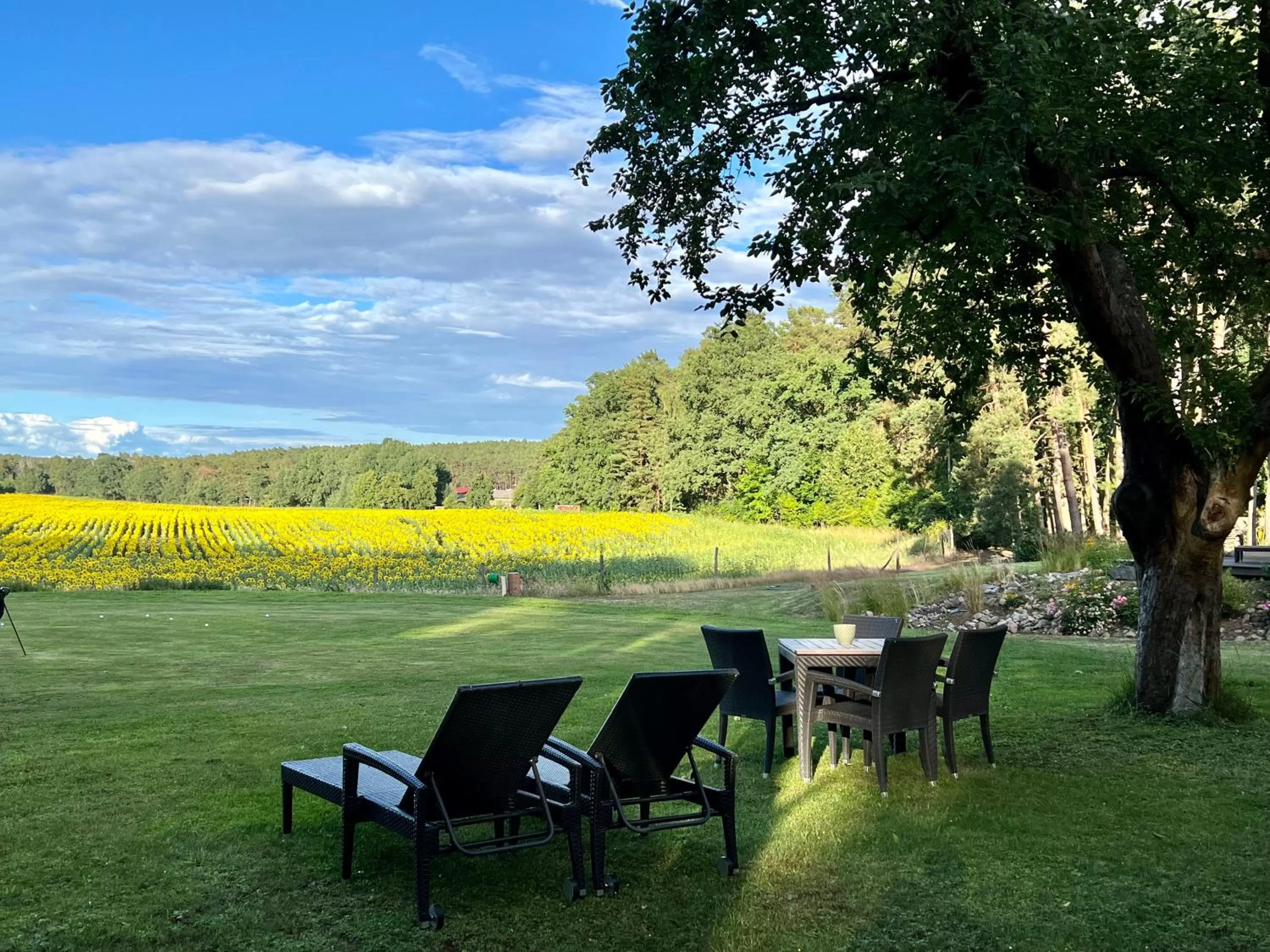 Spring in Hotel Zur Linde Dein Self Check In