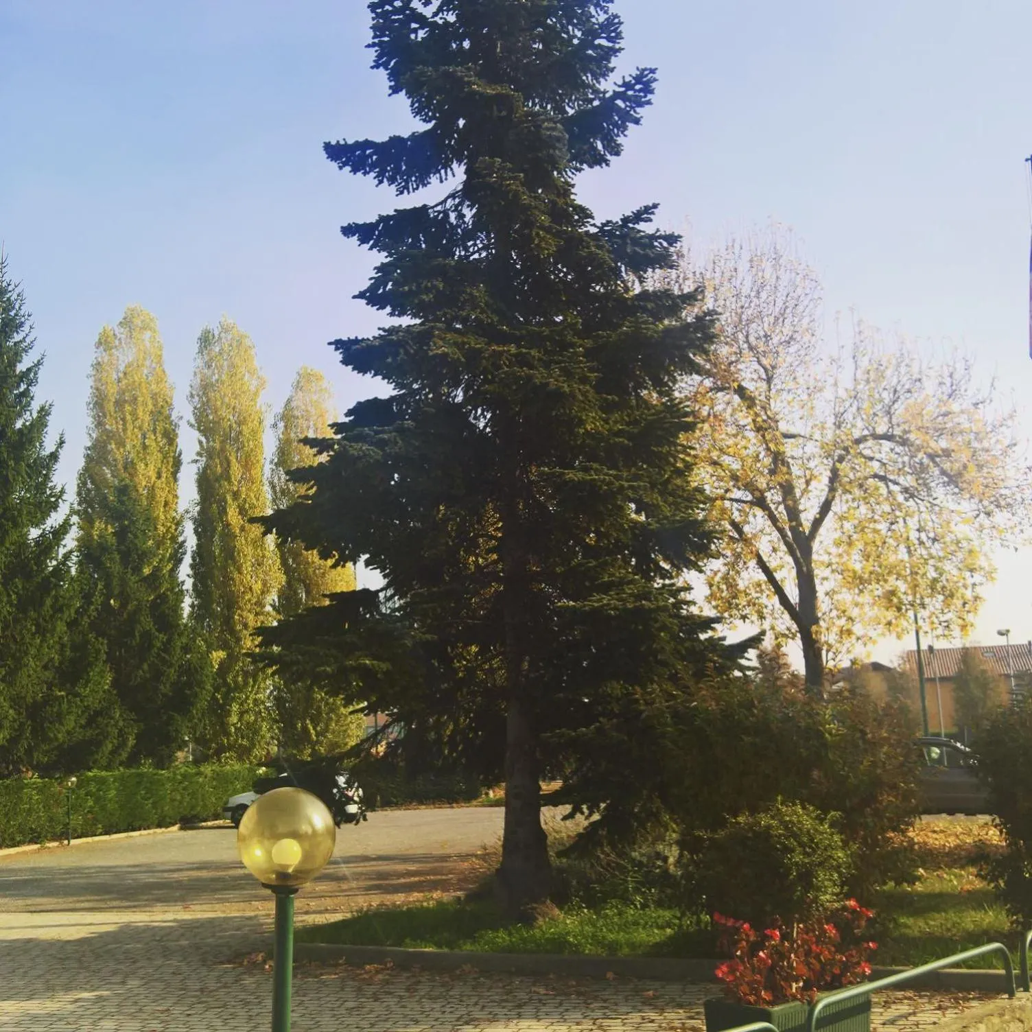 Facade/entrance in Hotel Romanisio