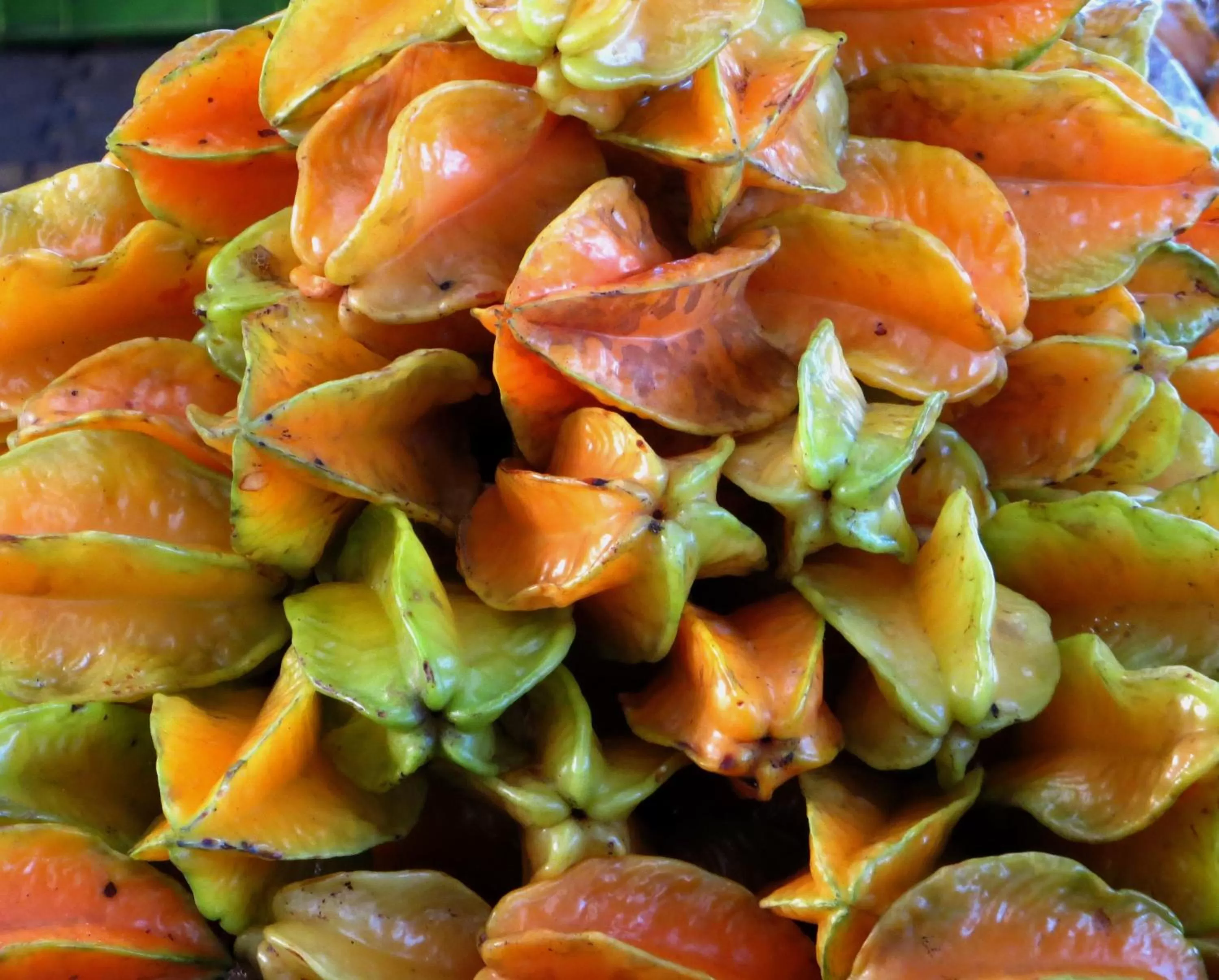 Shopping Area in Pura Vida Hotel