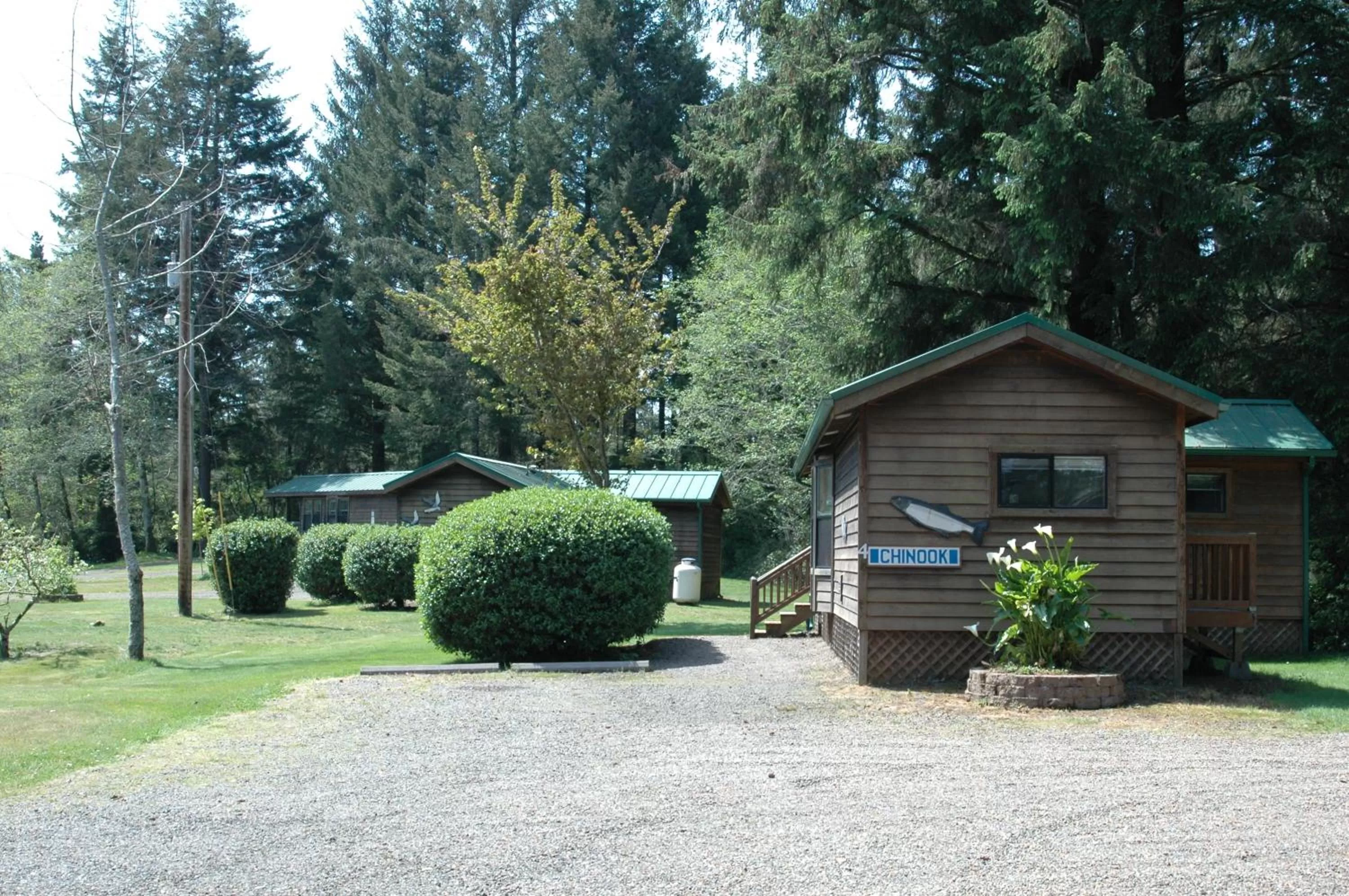 Park Motel and Cabins
