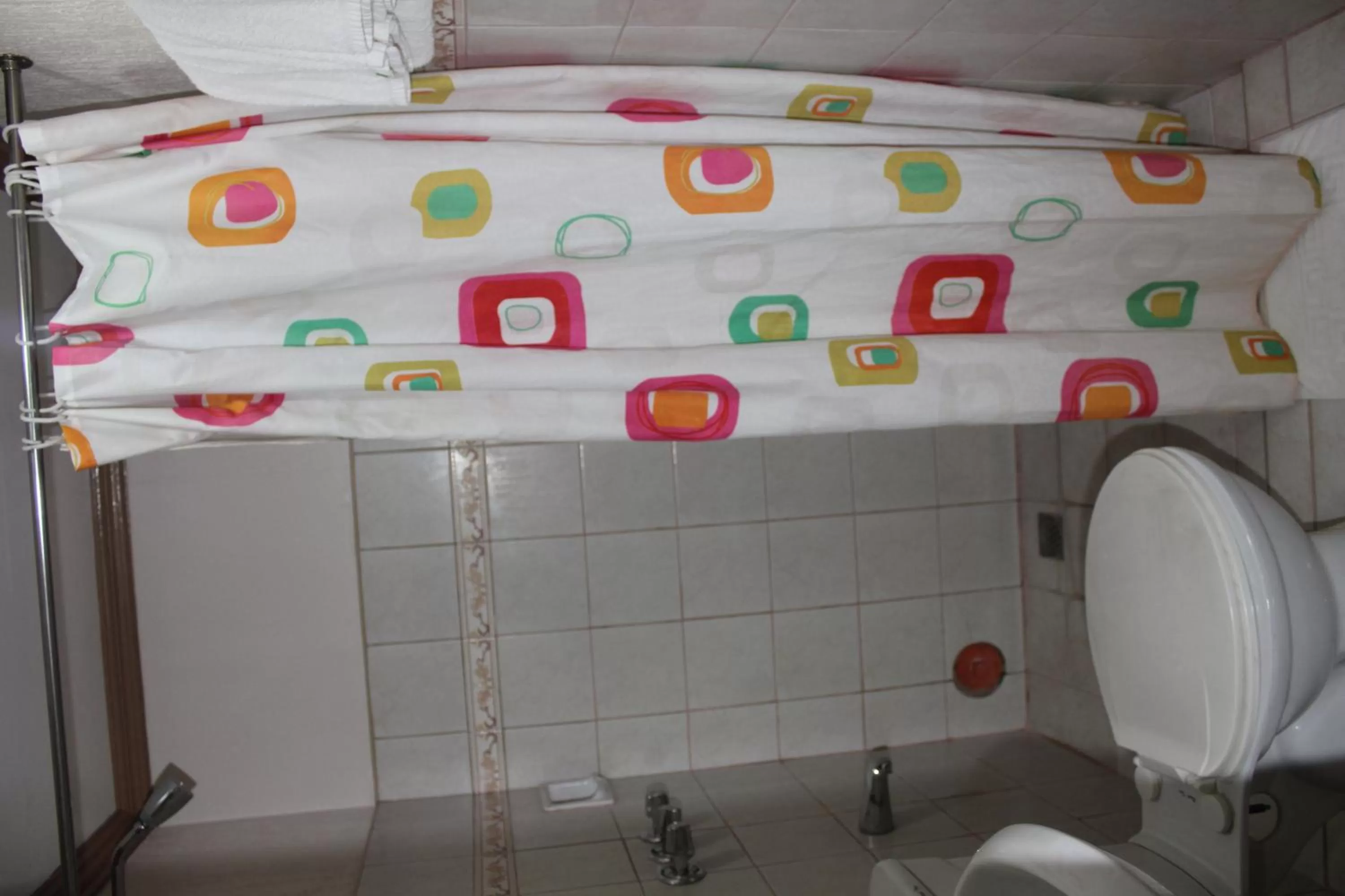 Shower in Elegant Circle Inn