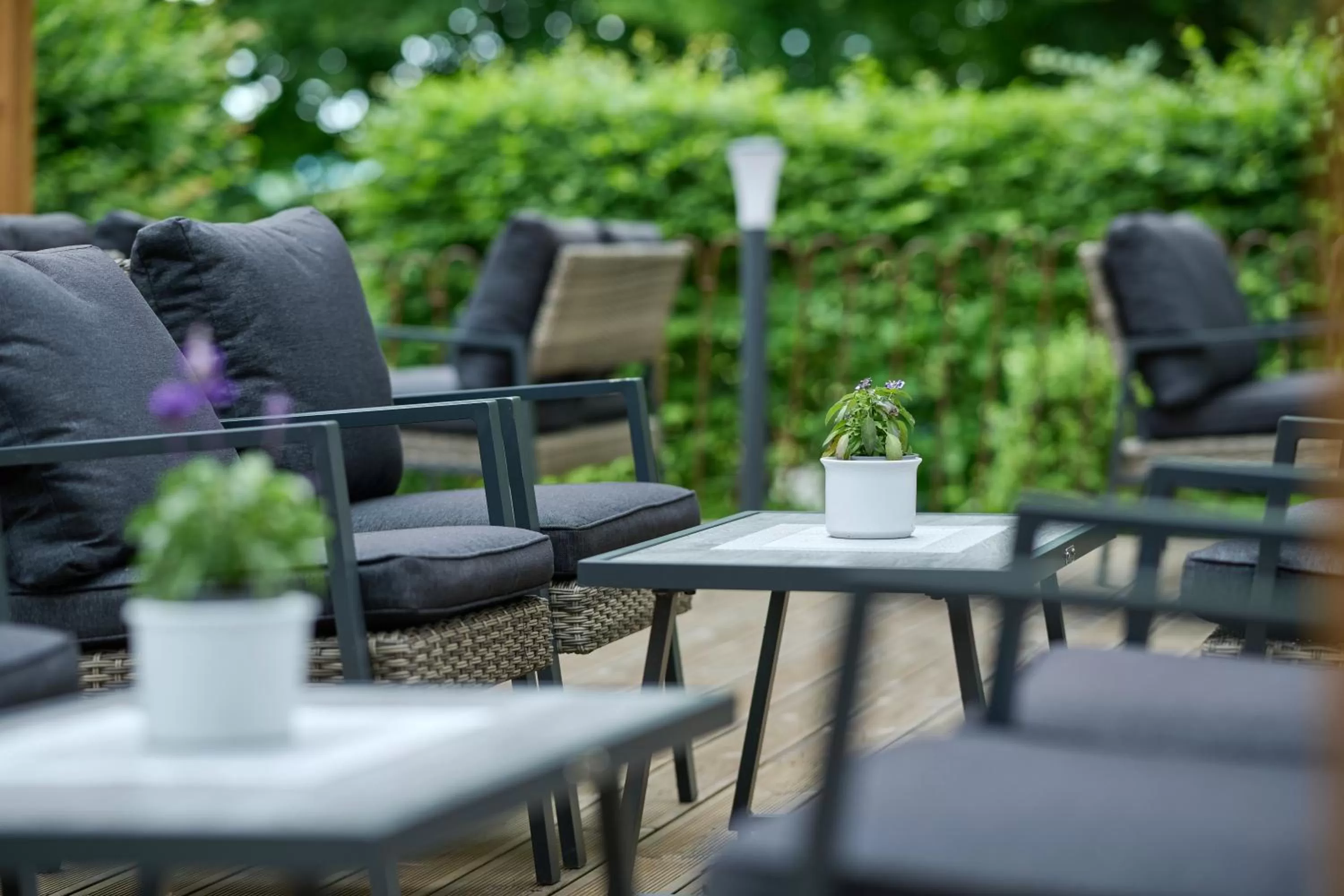 Restaurant/places to eat in Hotel Bannwaldsee