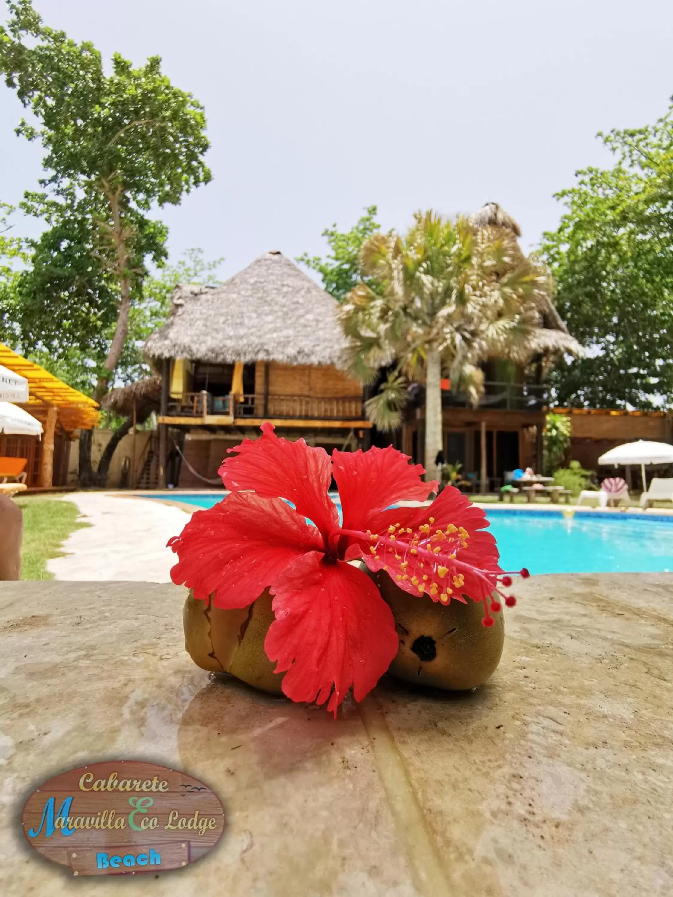 Decorative detail in Cabarete Maravilla Eco Lodge Boutique Beach Surf Encuentro, Kite, by AA Crypto Group