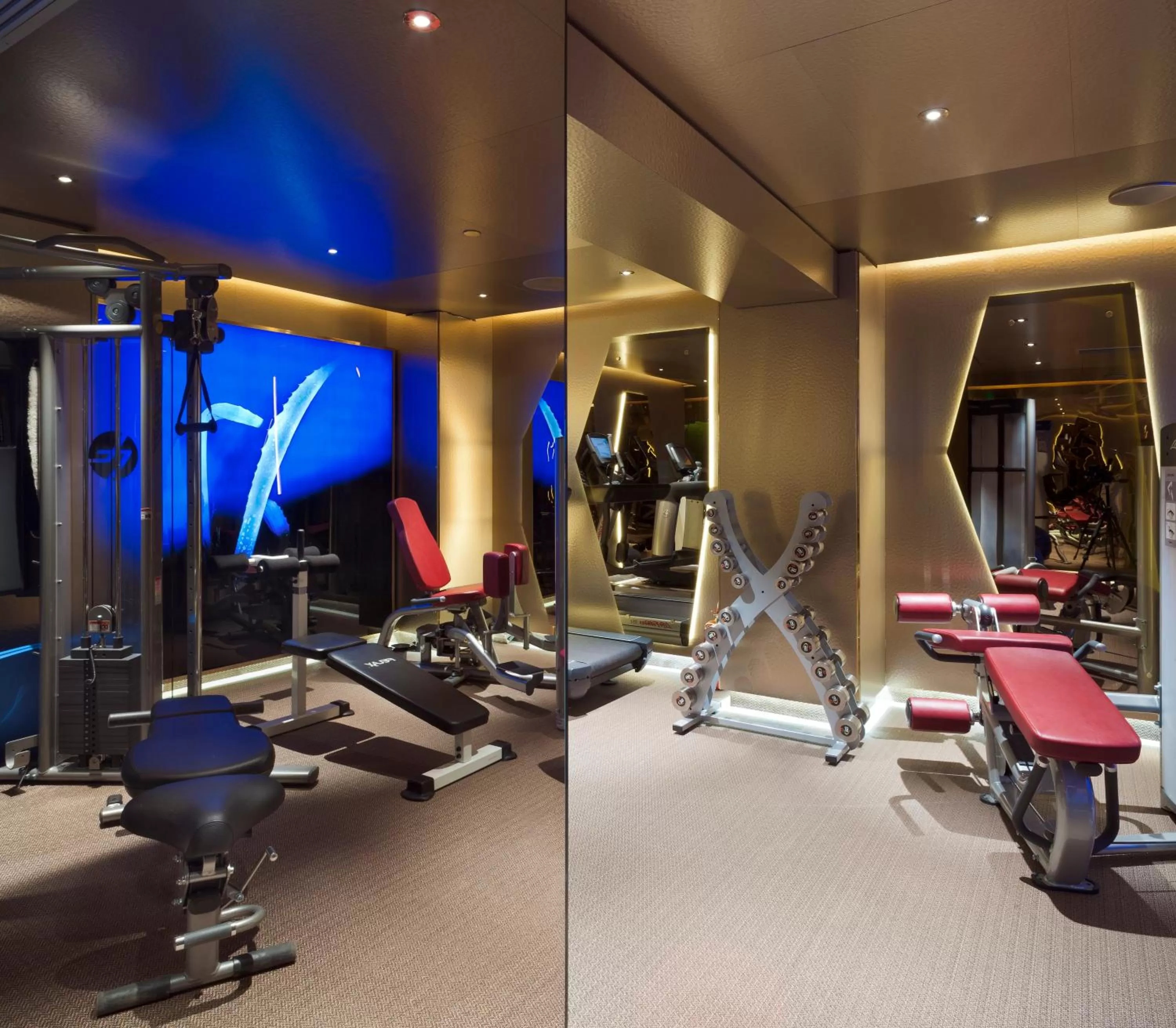 Fitness centre/facilities in New Hotel