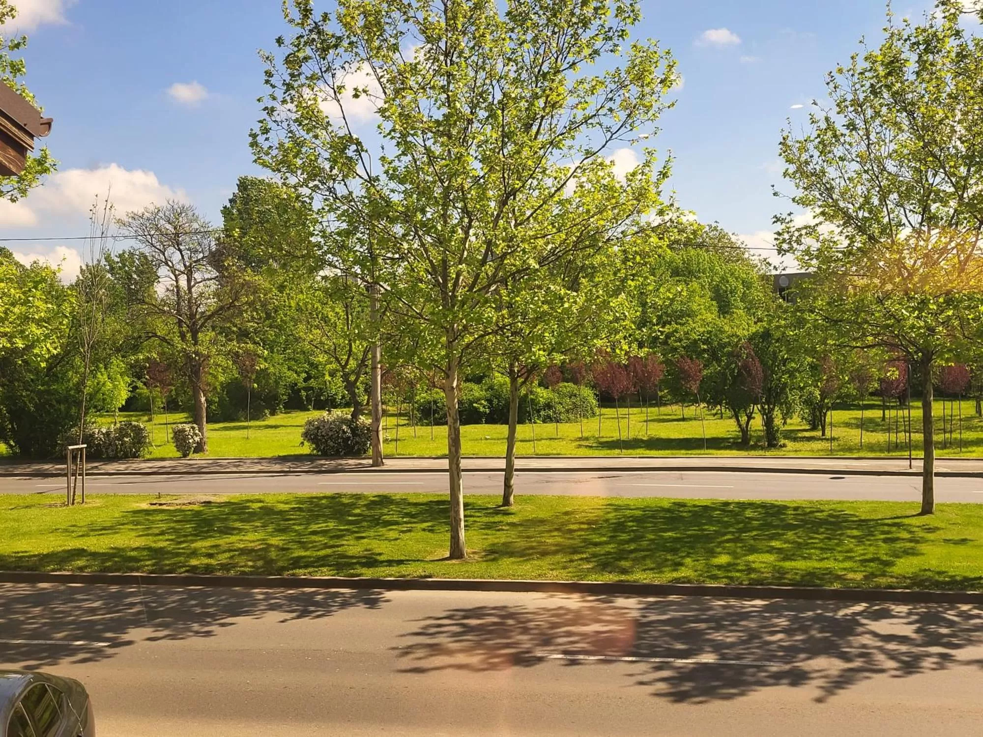 Garden in Hotel Sir Royal