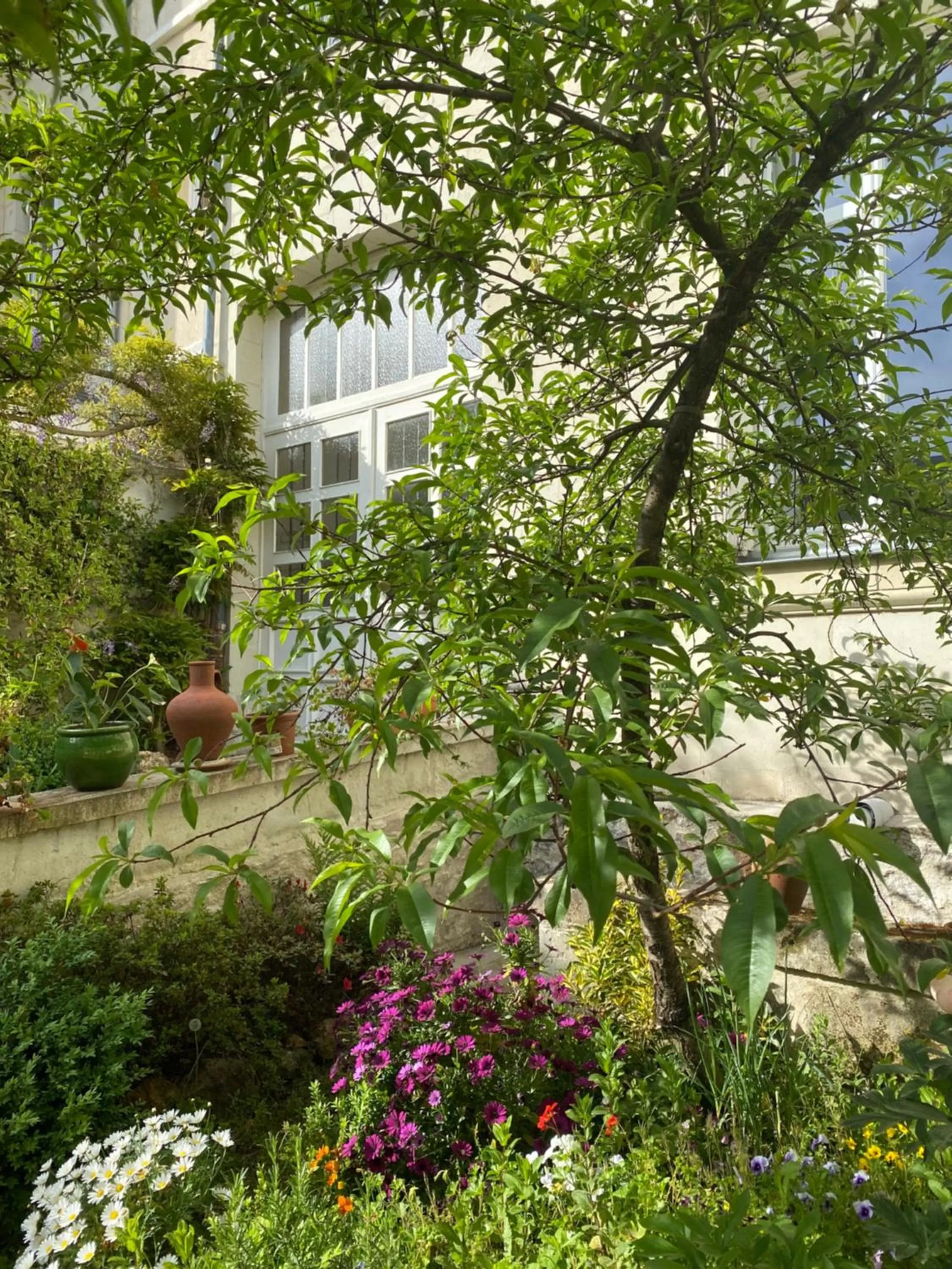 Facade/entrance in La Maison de Saumur