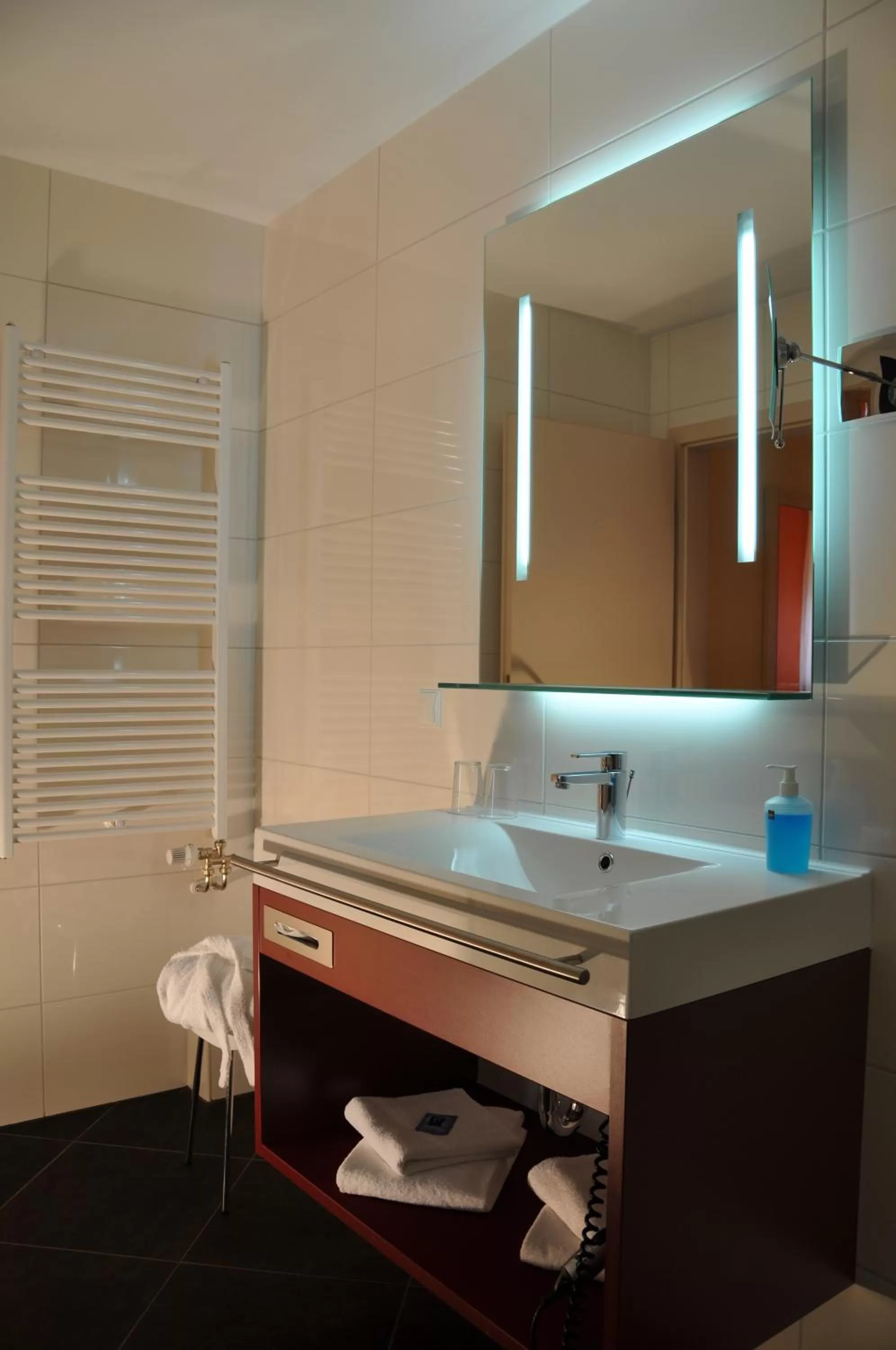 Bathroom in Hotel Lindenhof Bad Schandau