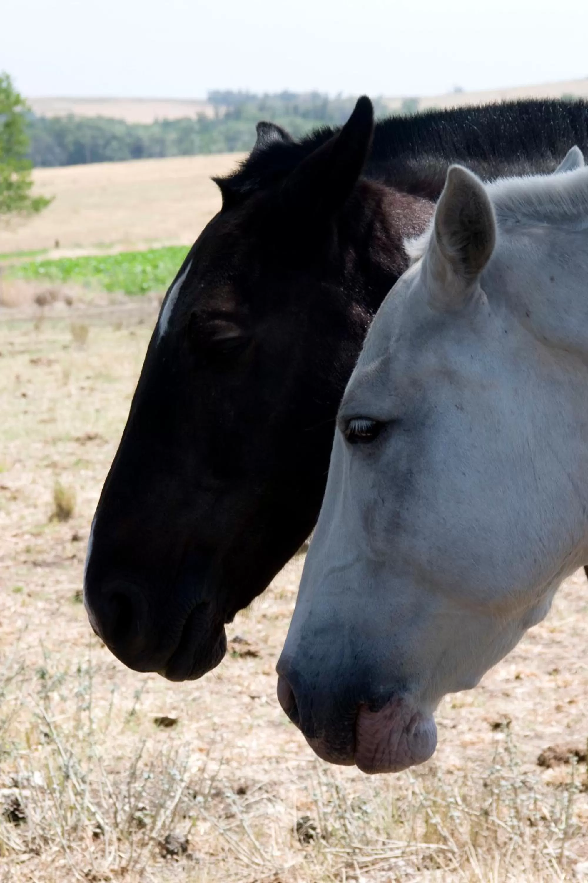 Activities in Estancia Ave María