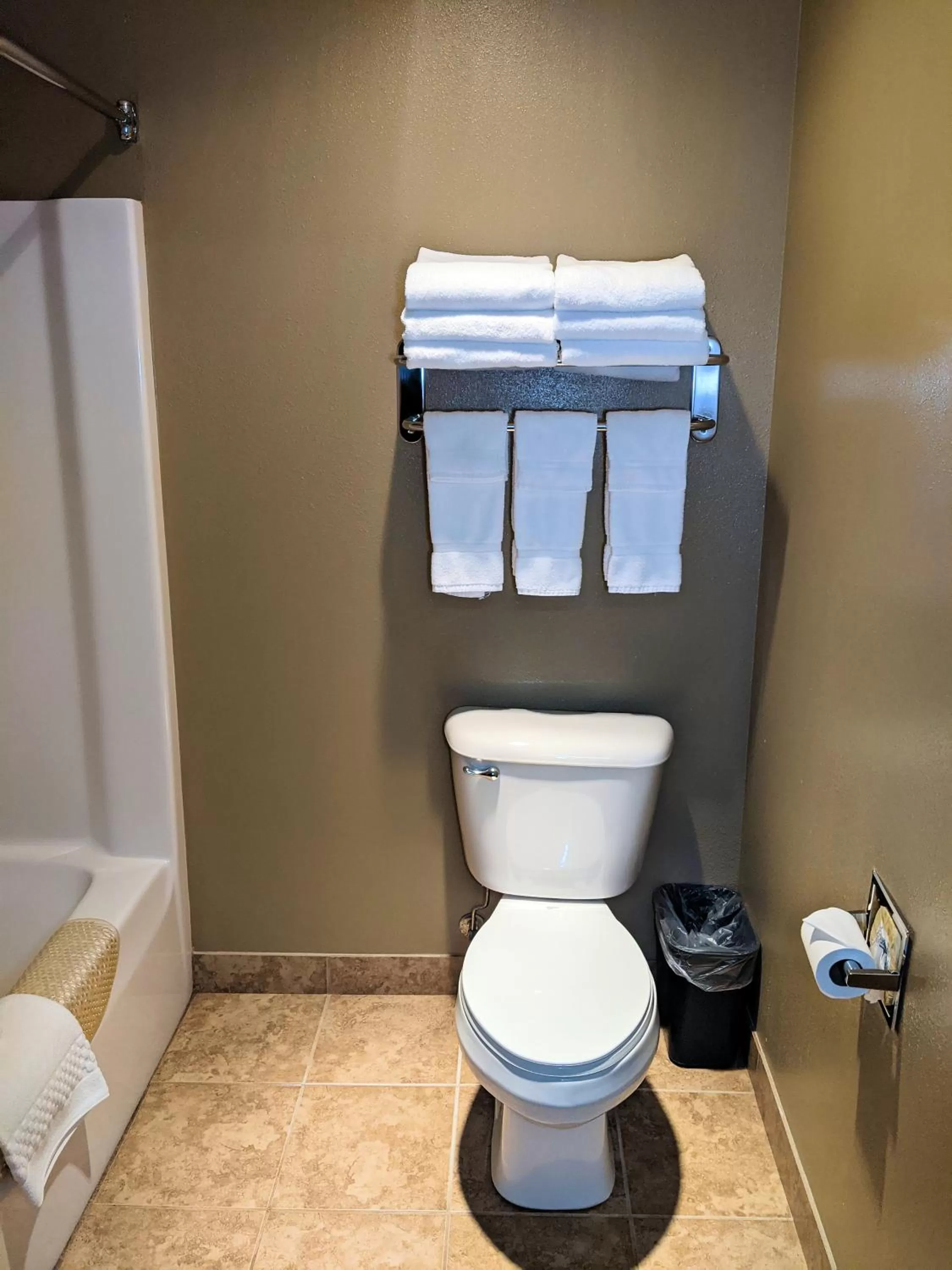 Toilet in Cobblestone Inn & Suites - Denison | Majestic Hills