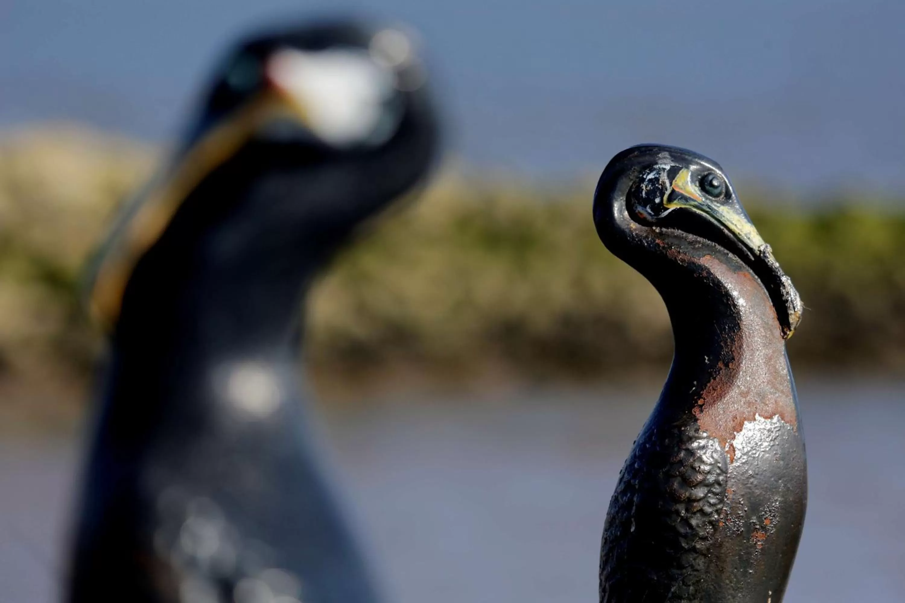 Off site in Best Western Lancaster Morecambe Lothersdale Hotel