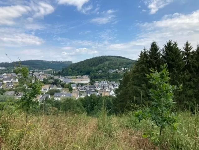 Natural landscape in Bed & Breakfast Weisser Stein