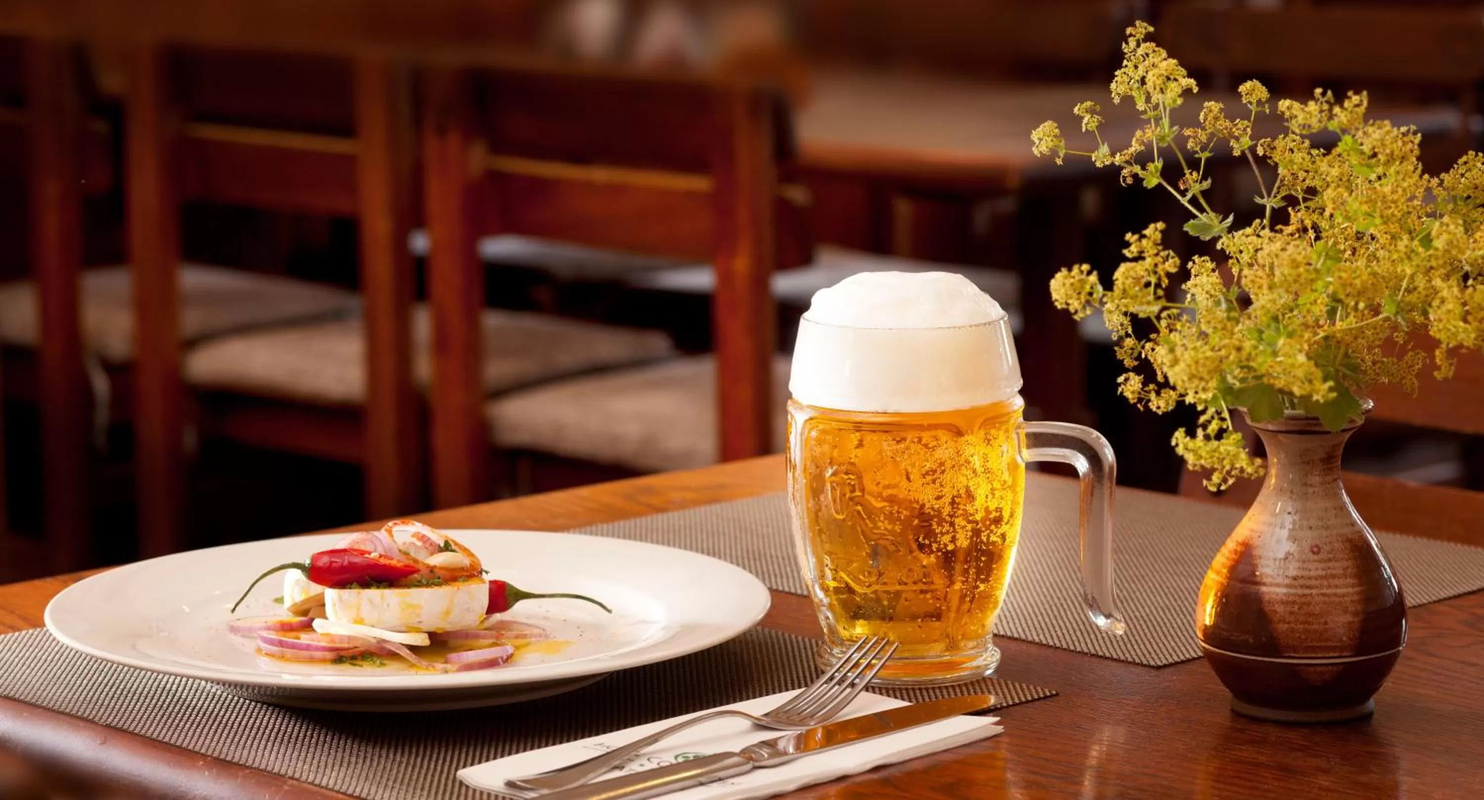 Day in Hotel Concertino Zlatá Husa