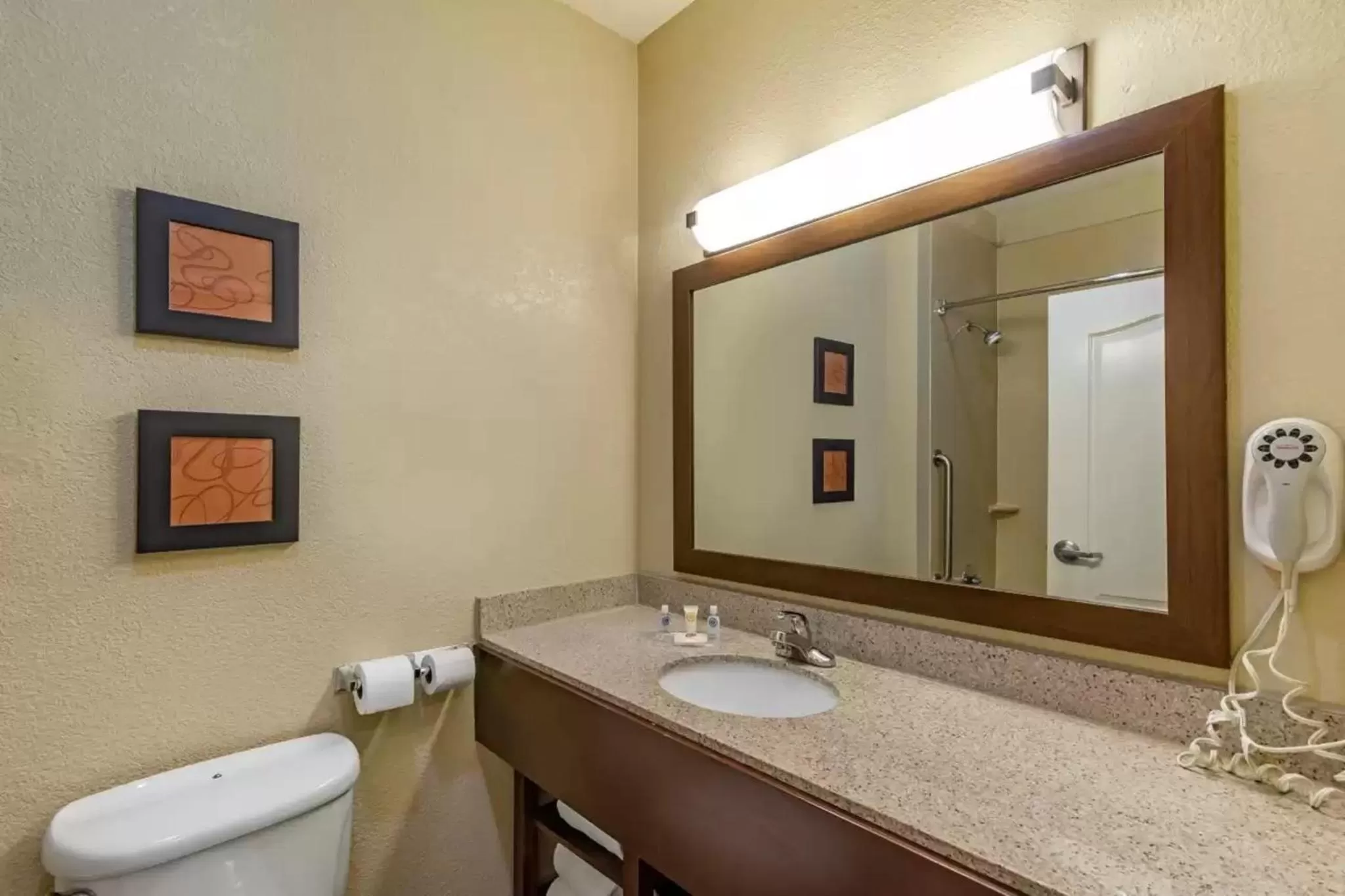 Bathroom in Comfort Suites Montgomery East Monticello Dr