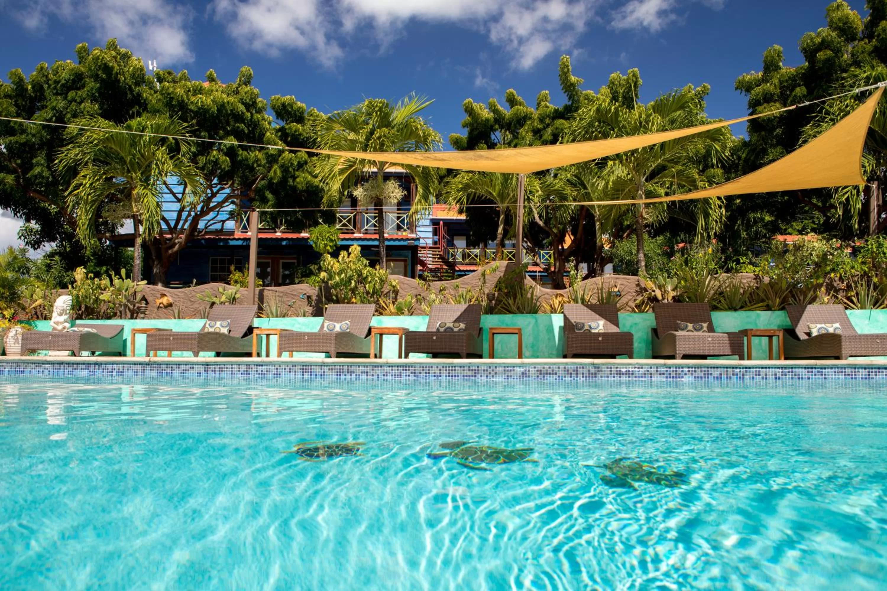 Swimming pool in True Blue Bay Resort