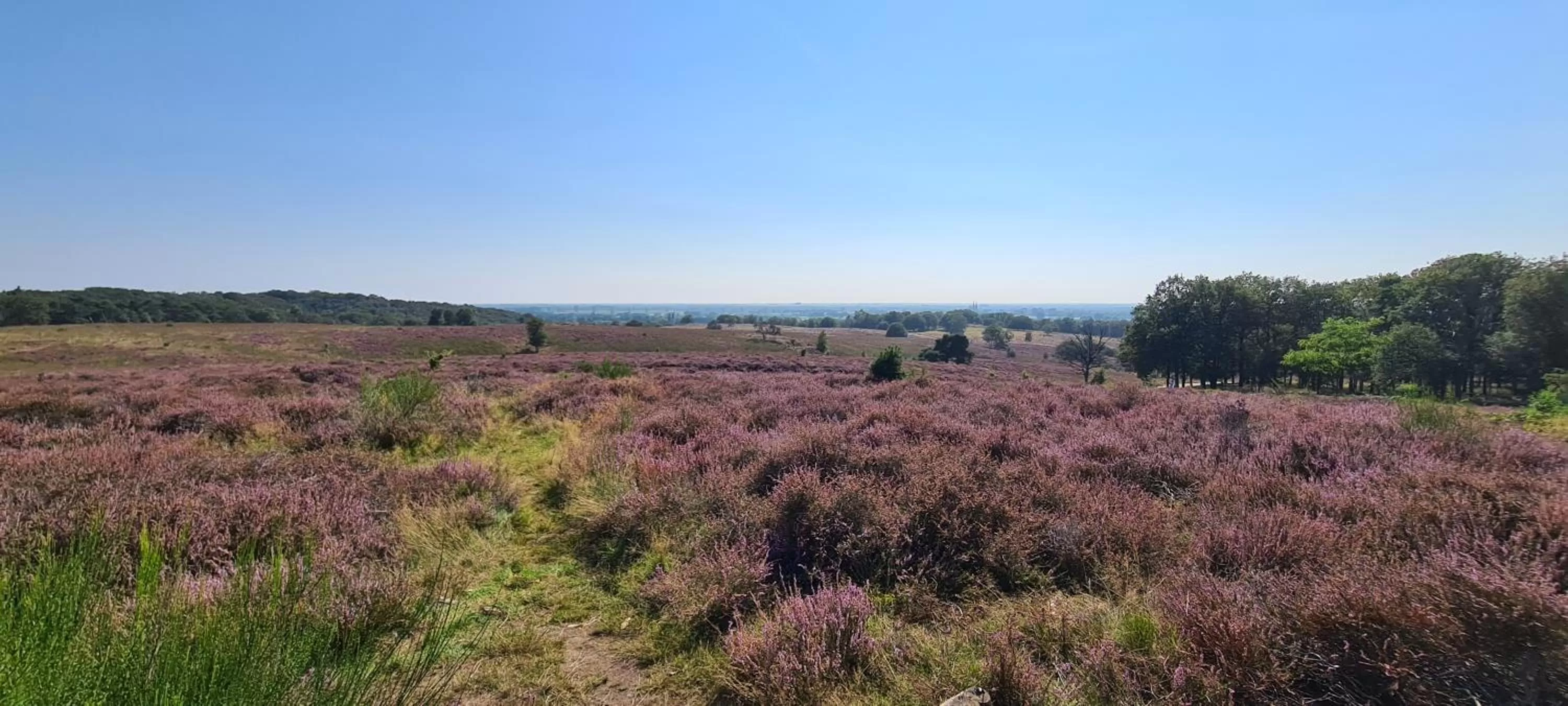Landmark view in Bed & Breakfast "Aan de Bagijnstraat".