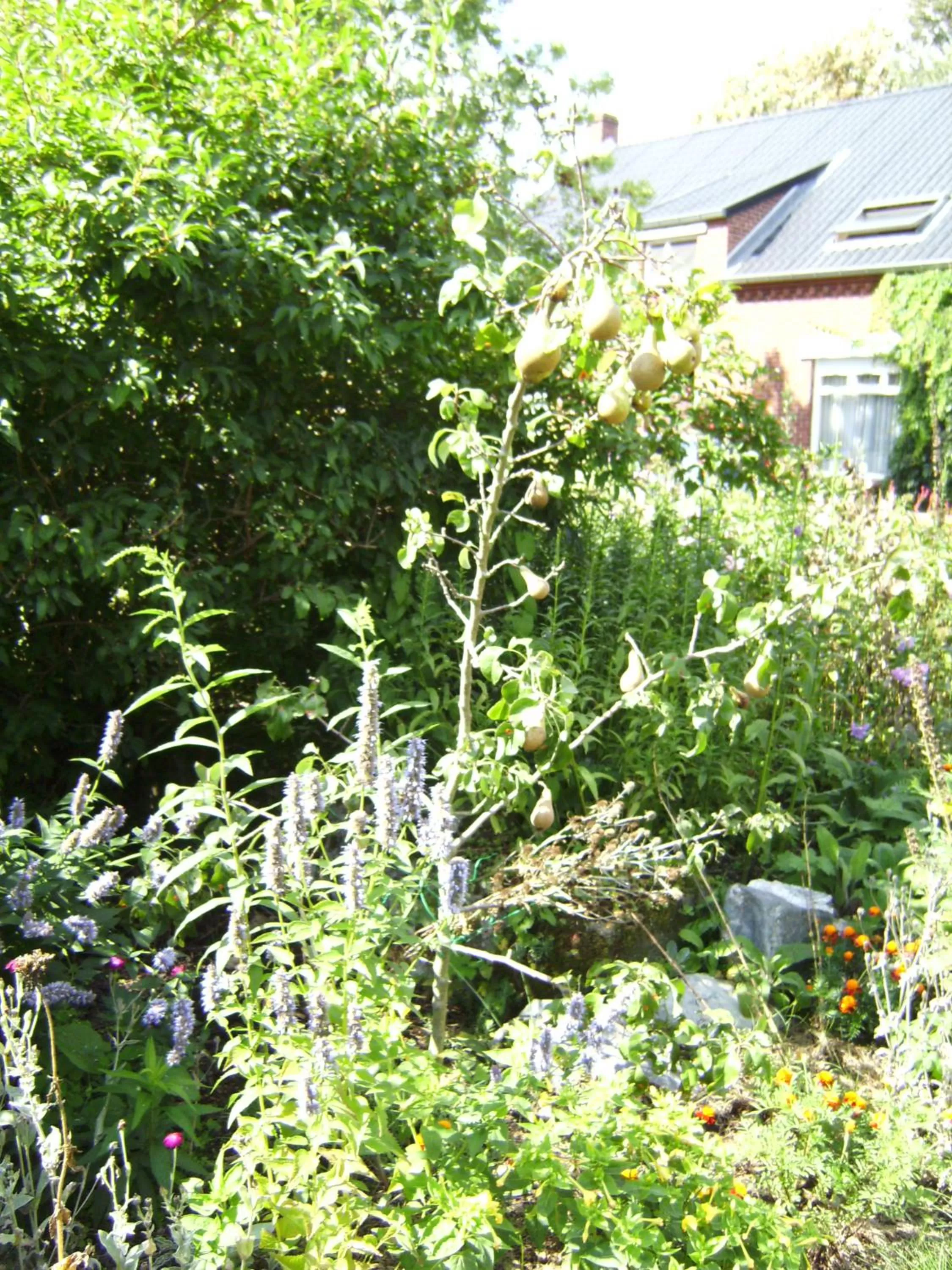 Other in B&B Het Uilennest