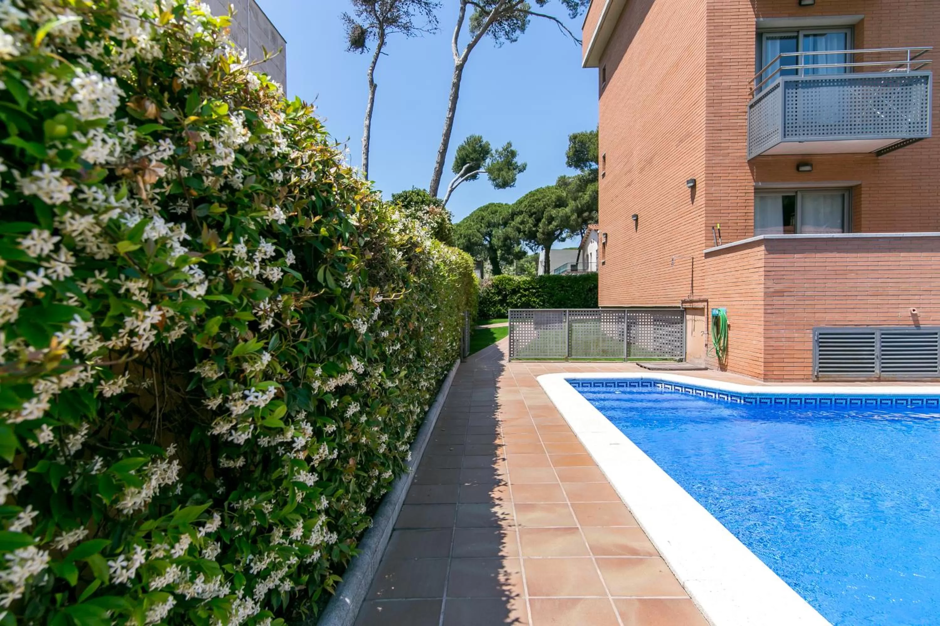 Garden in Aparthotel Bardon