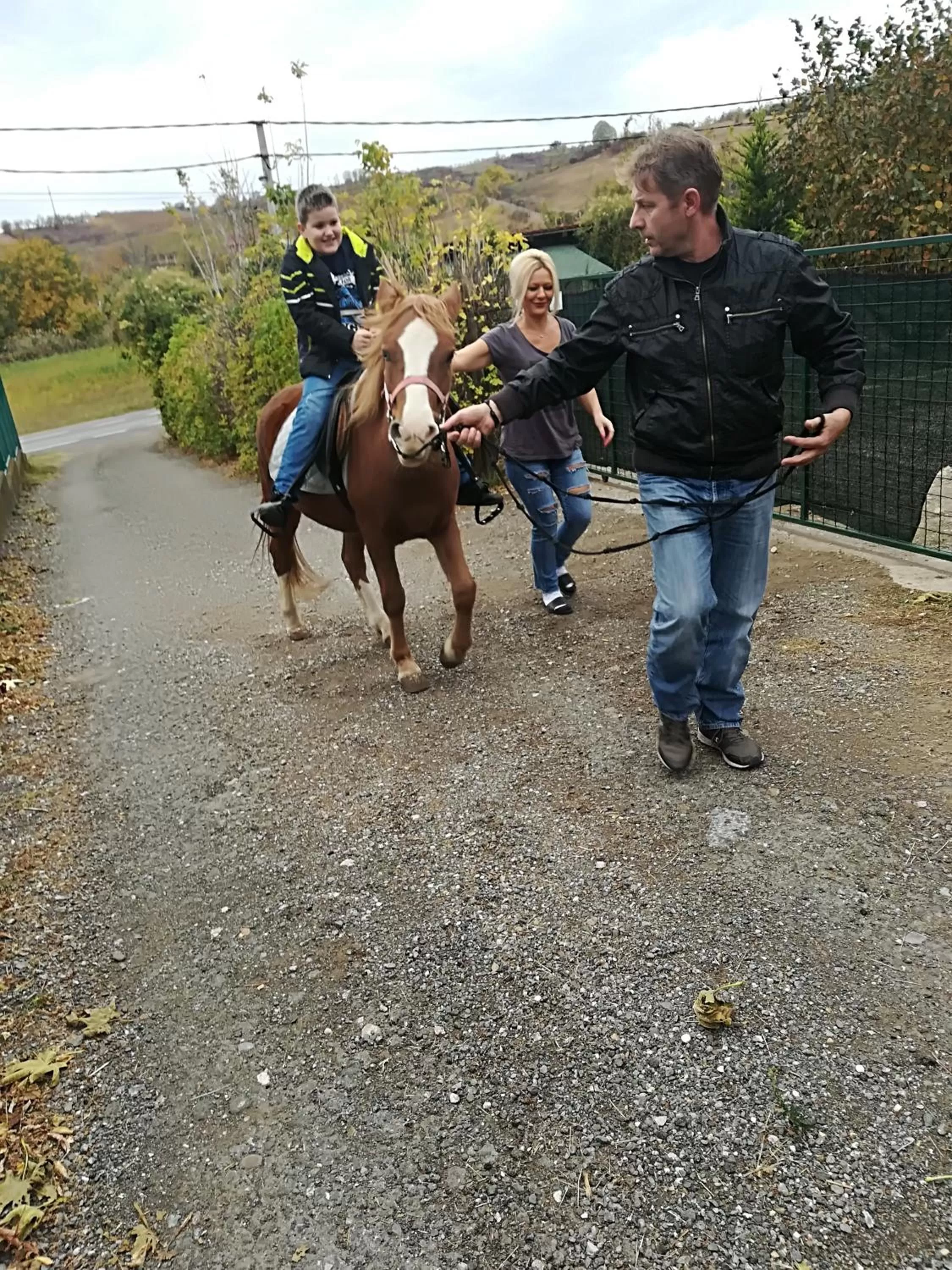 Animals in Etno selo Vile Jefimija, selo Preobrazenje, Vranje