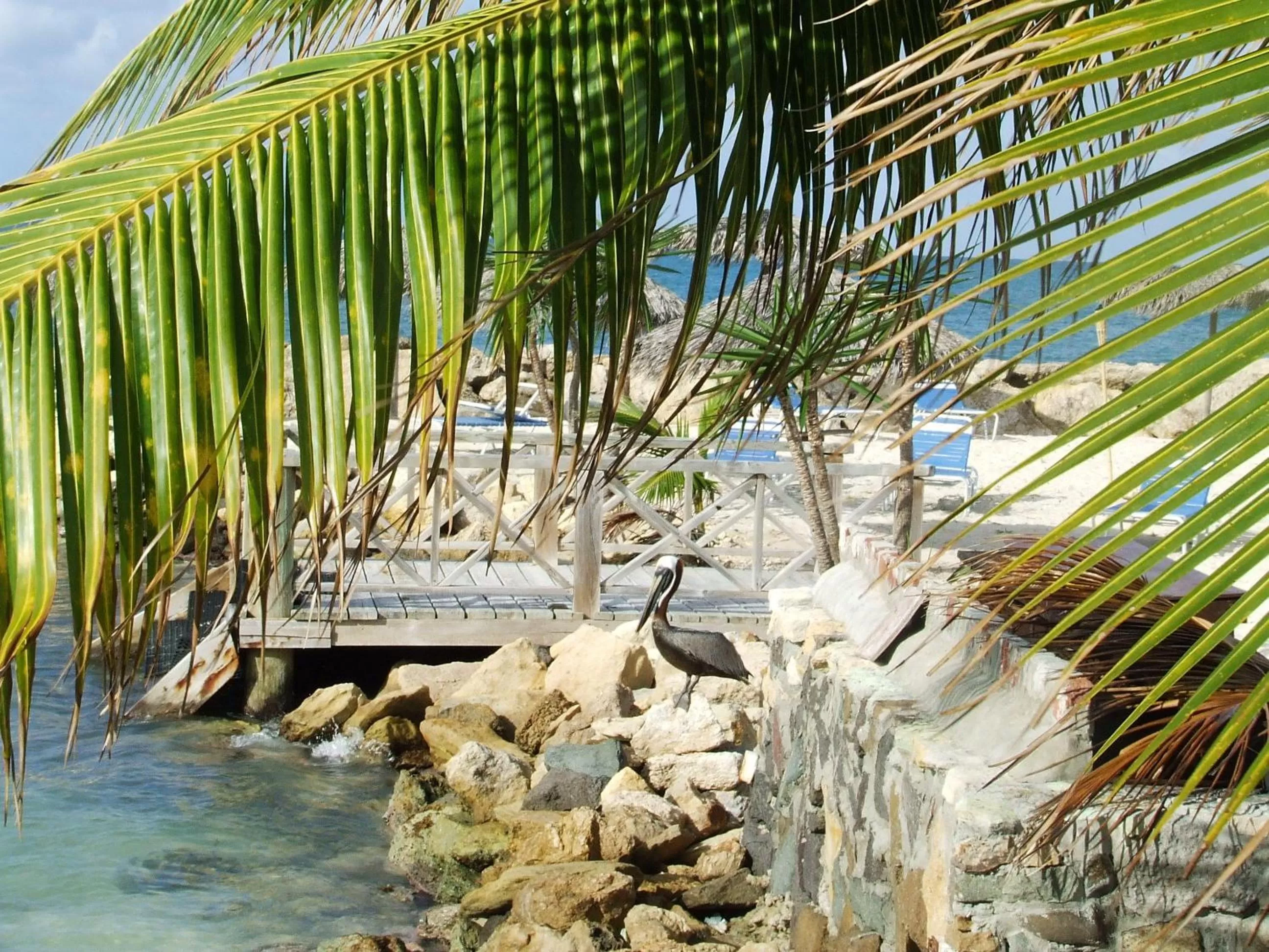 Day in Northshore Seaside Suites