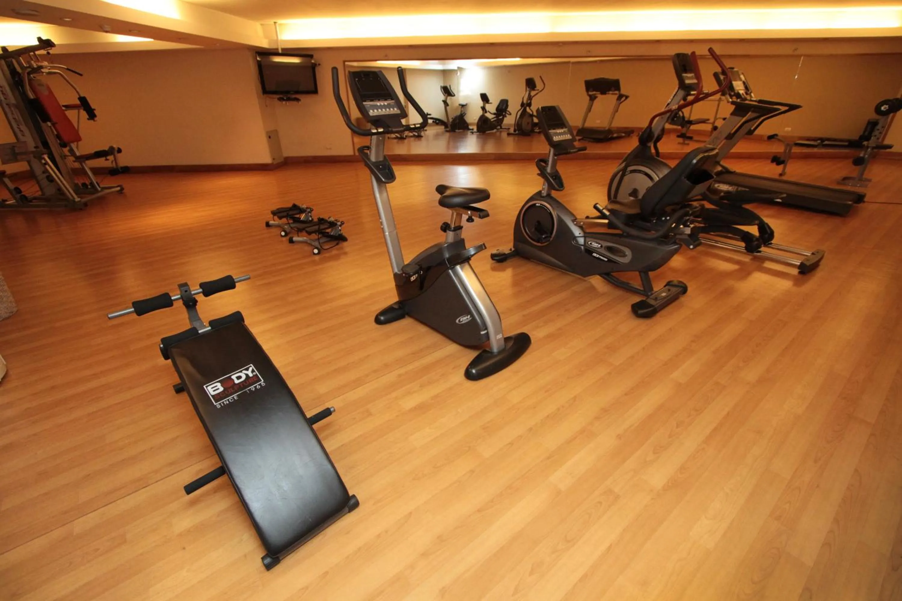 Fitness centre/facilities in Radisson Hotel Puerto Varas