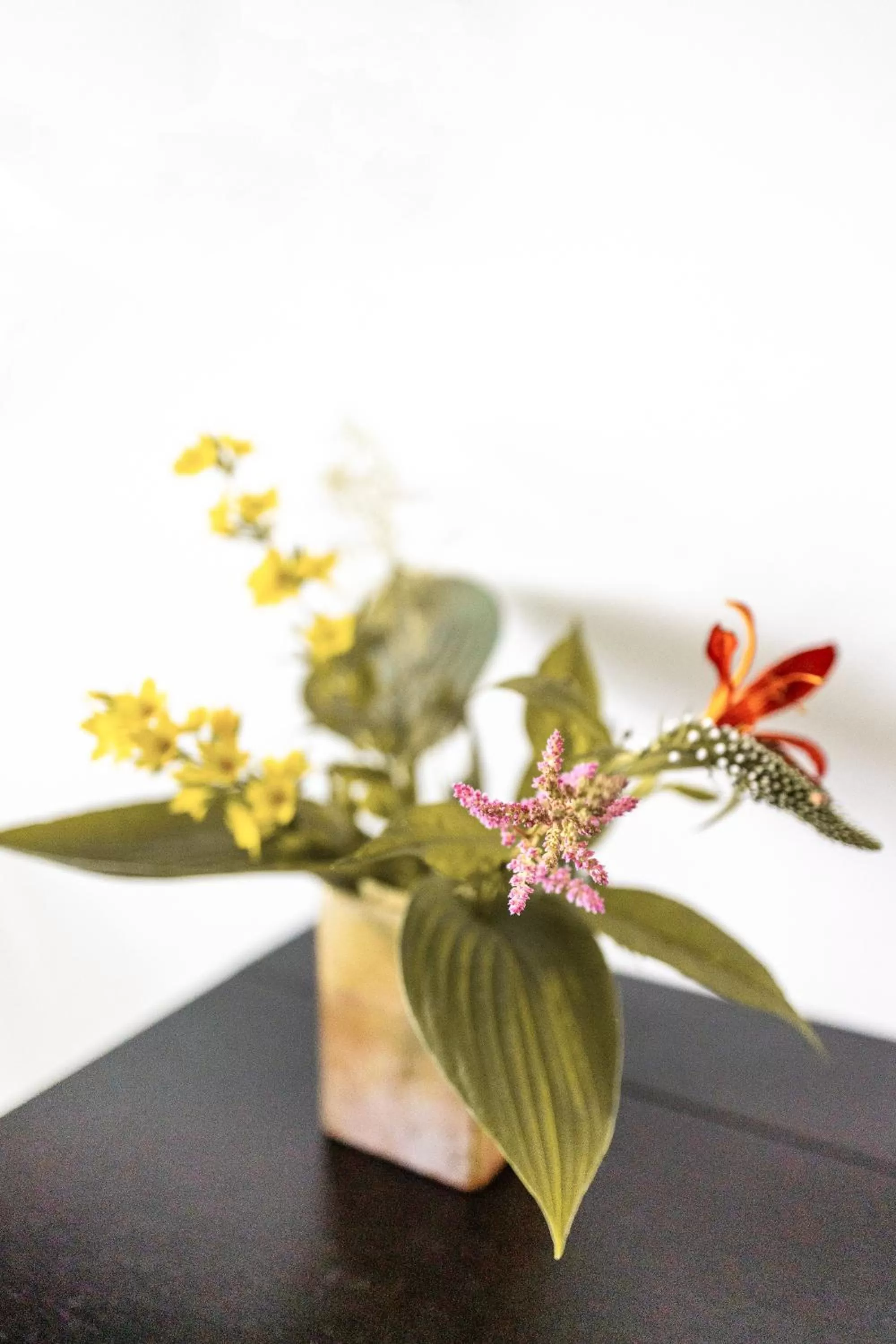 Decorative detail in Avellano