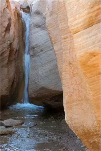 Bullberry inn Bed & Breakfast