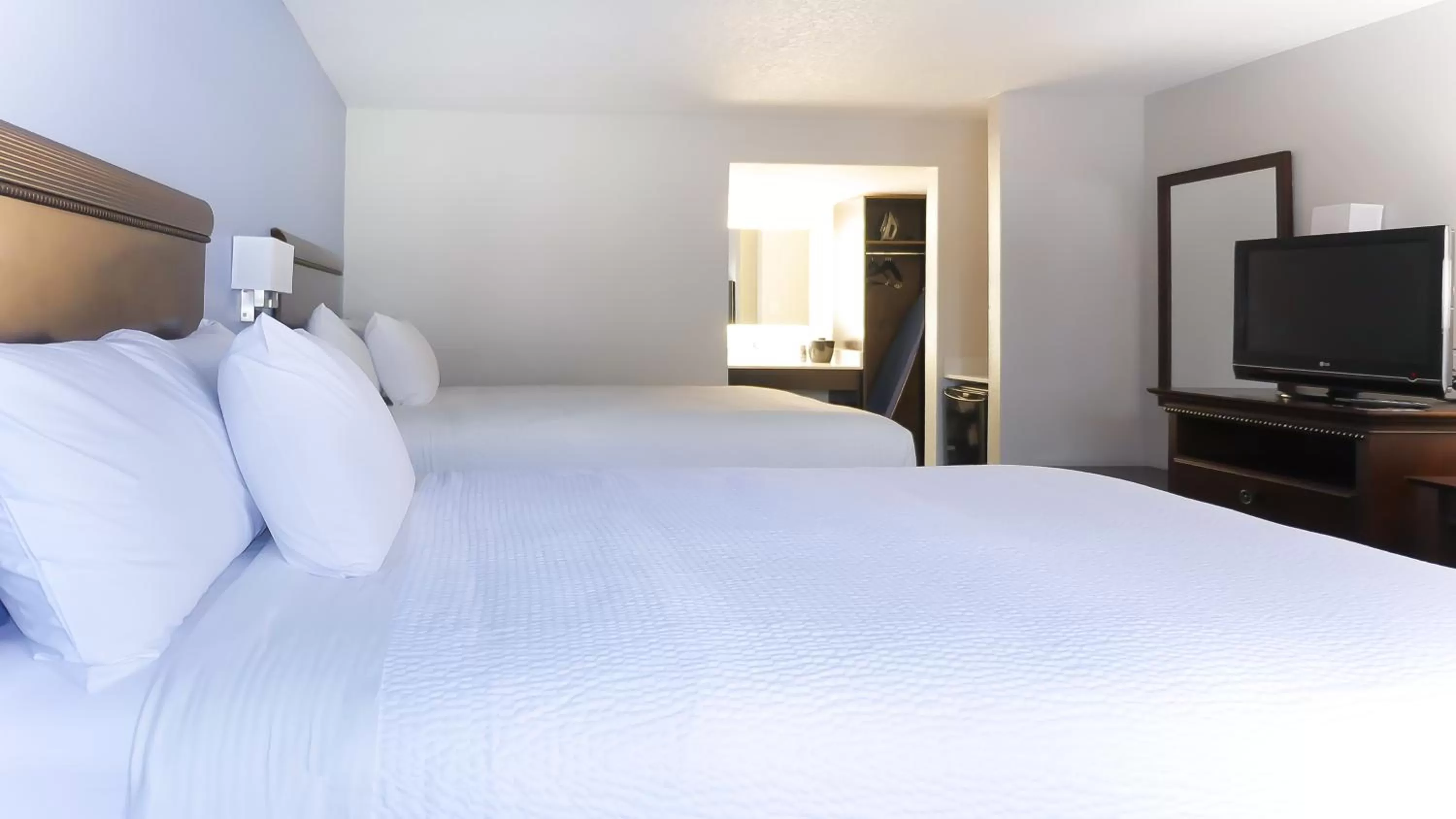 Other, Bed in Hotel South Tampa & Suites