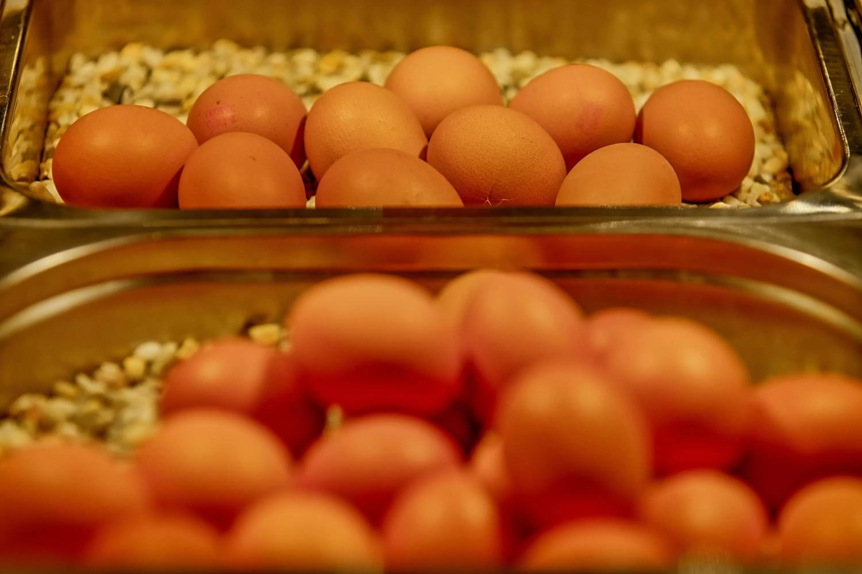 Breakfast in Hotel Im Schützenhof, Jever