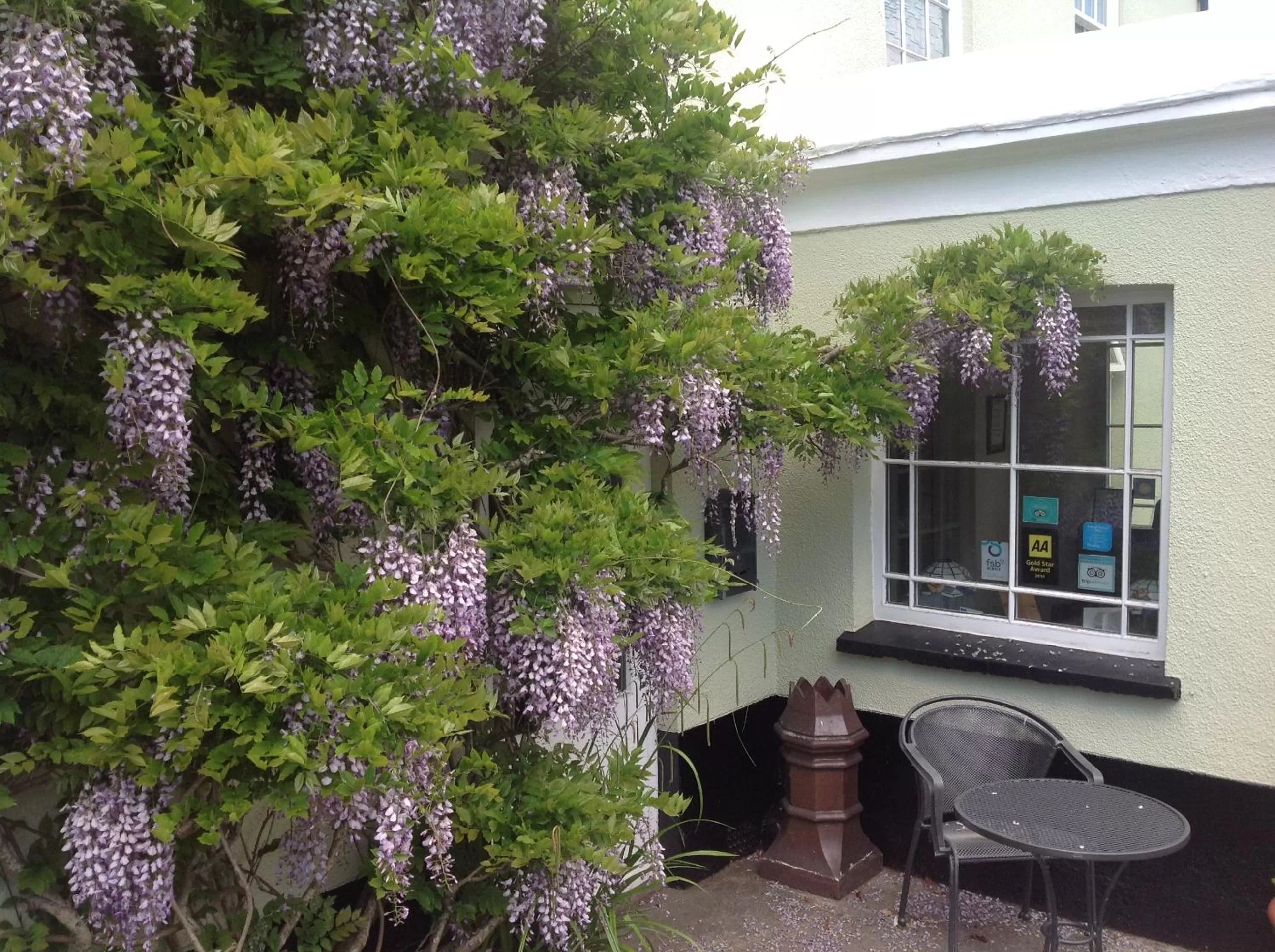 Spring in The Spinney