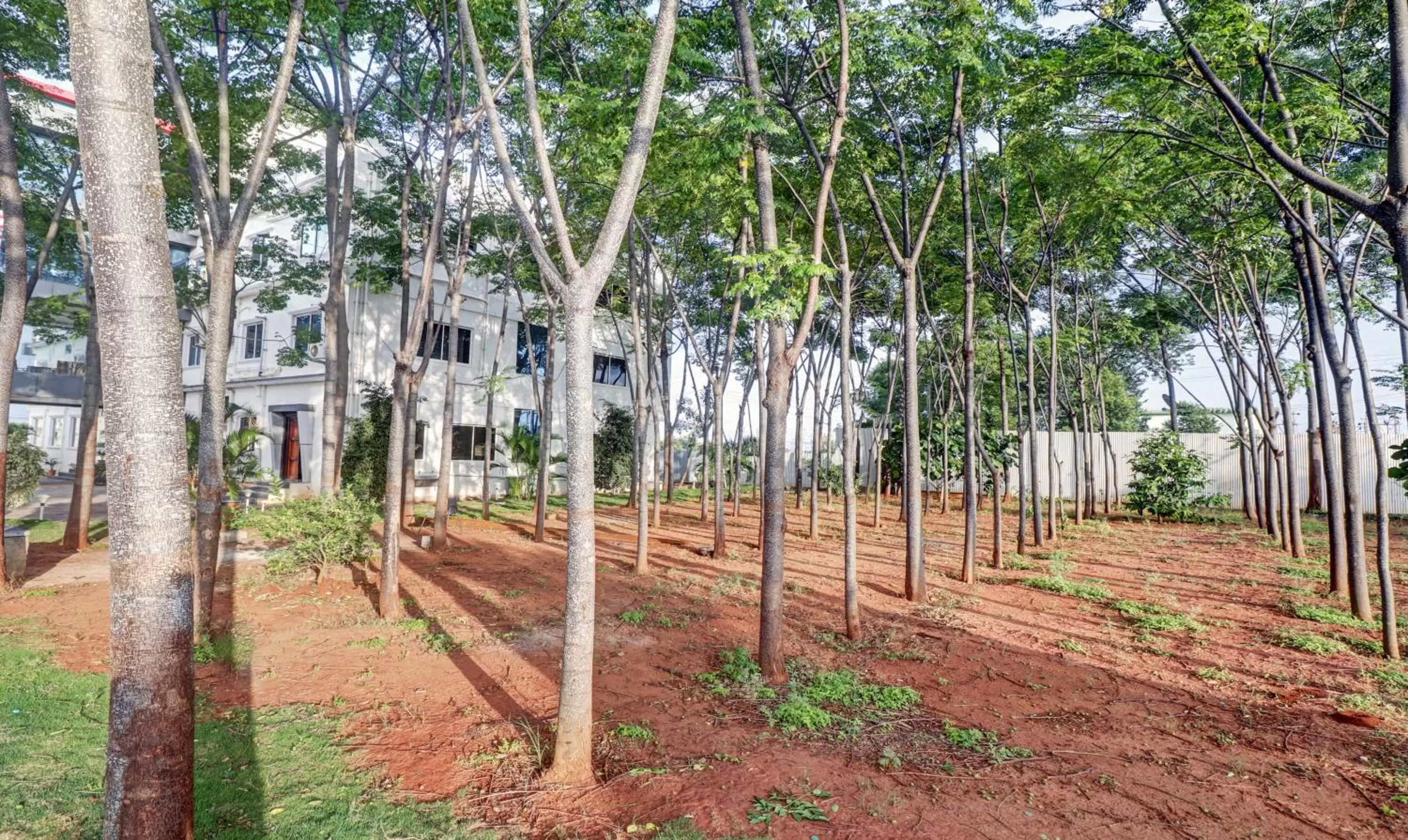 Garden in Treebo Trend Grand JP Inn