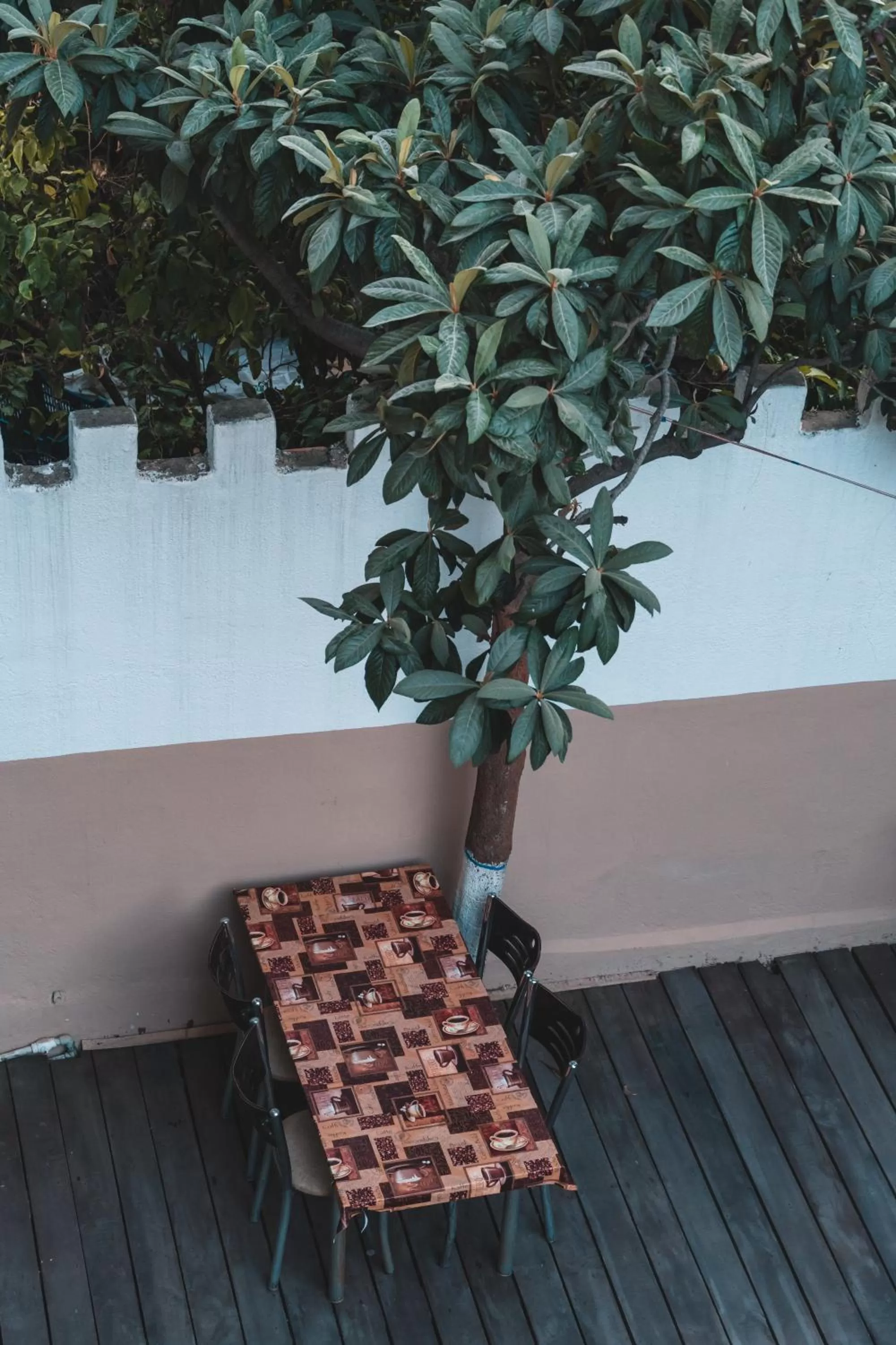 Garden view in Nicea Hotel