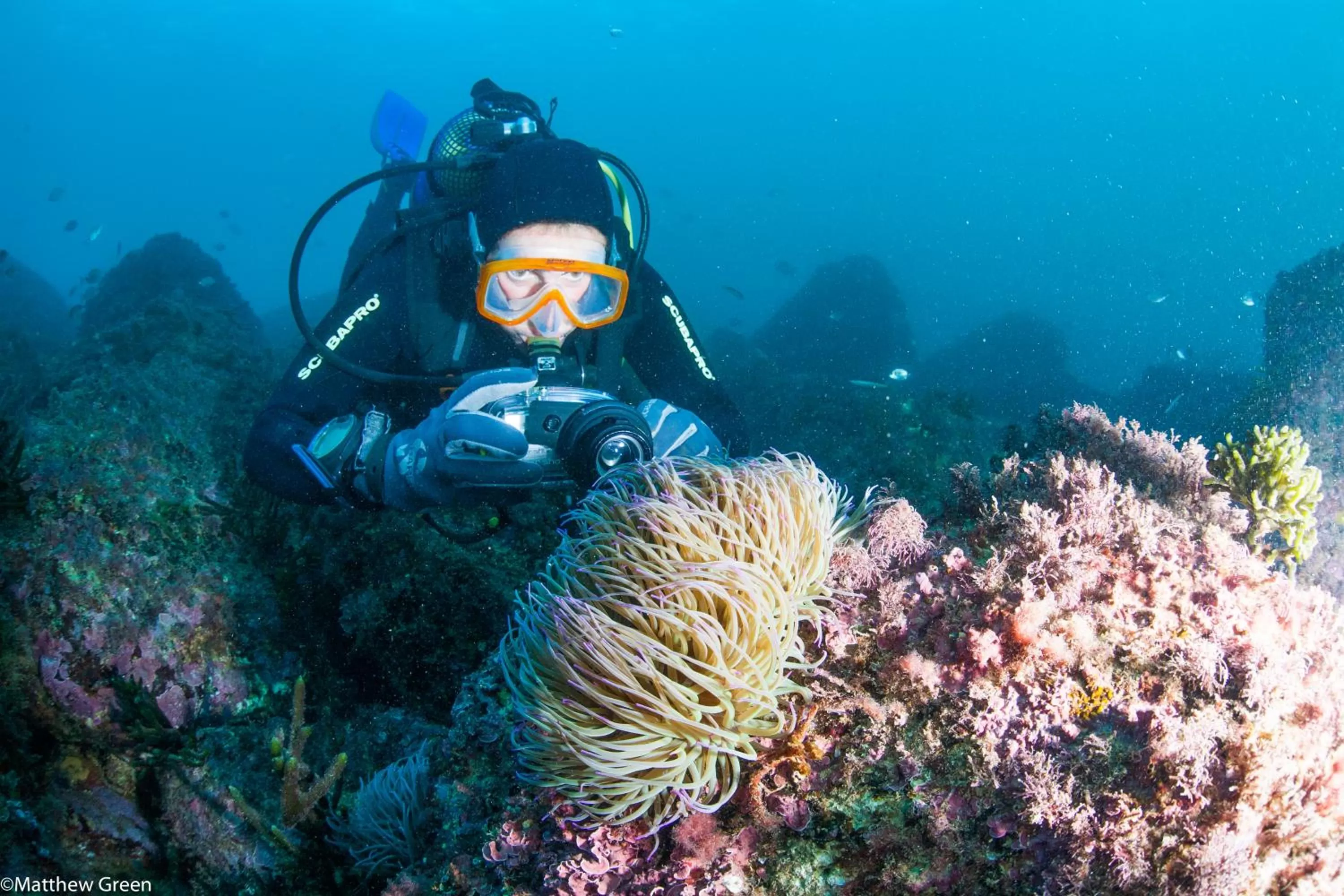 Activities in PuraVida Divehouse