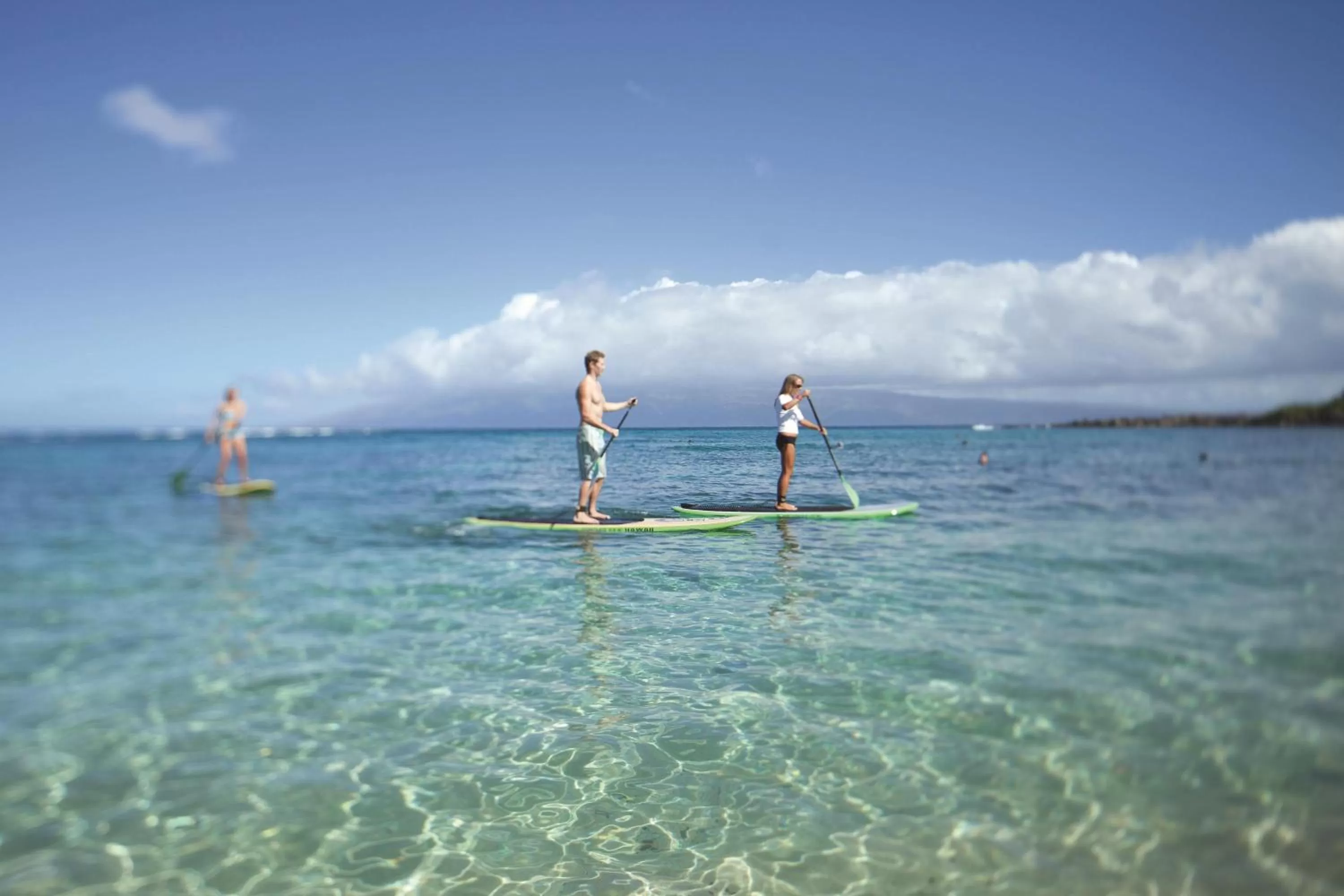 Other in The Ritz-Carlton Maui, Kapalua