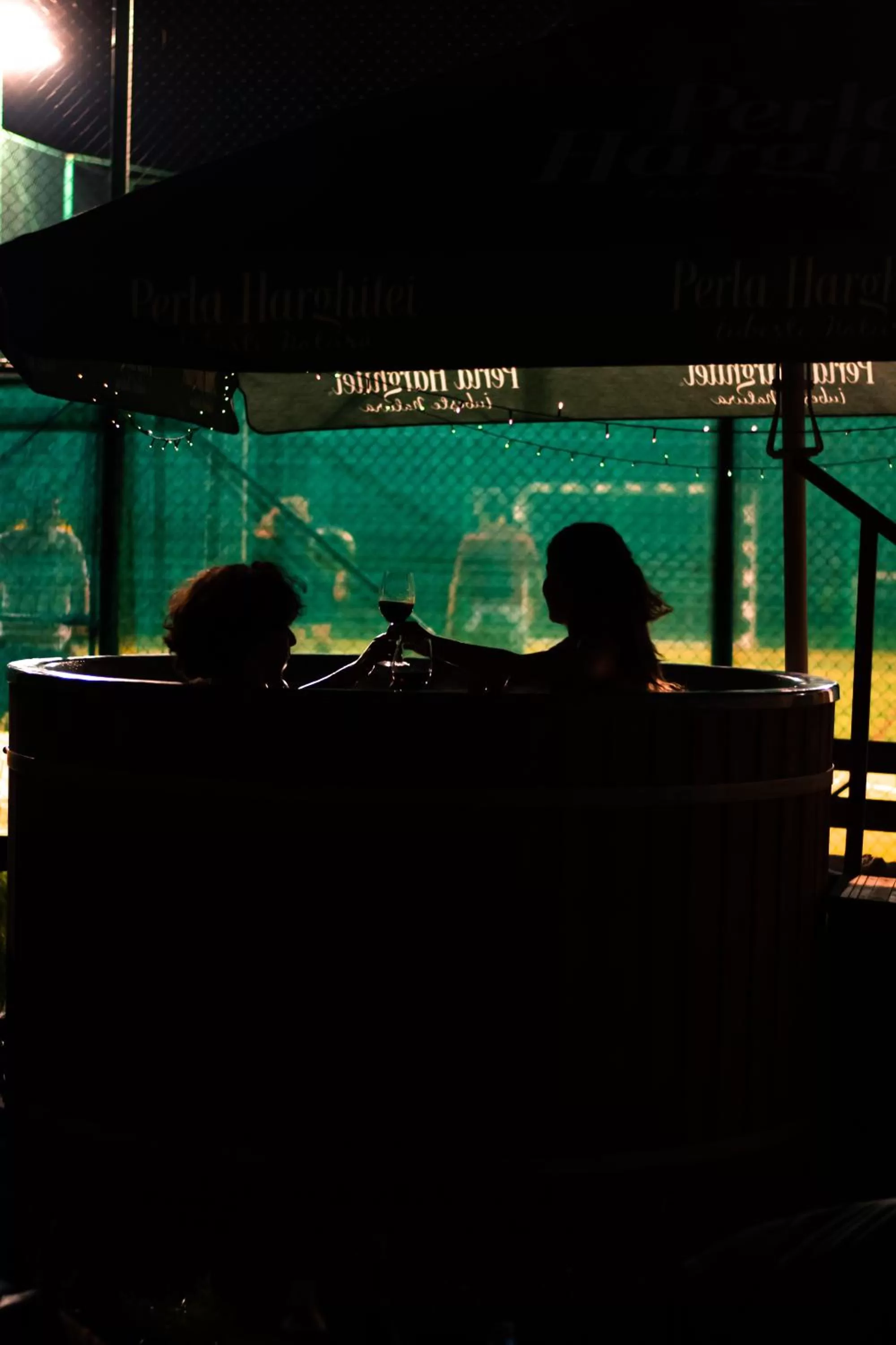 Swimming pool in Mountain-Rest Pension