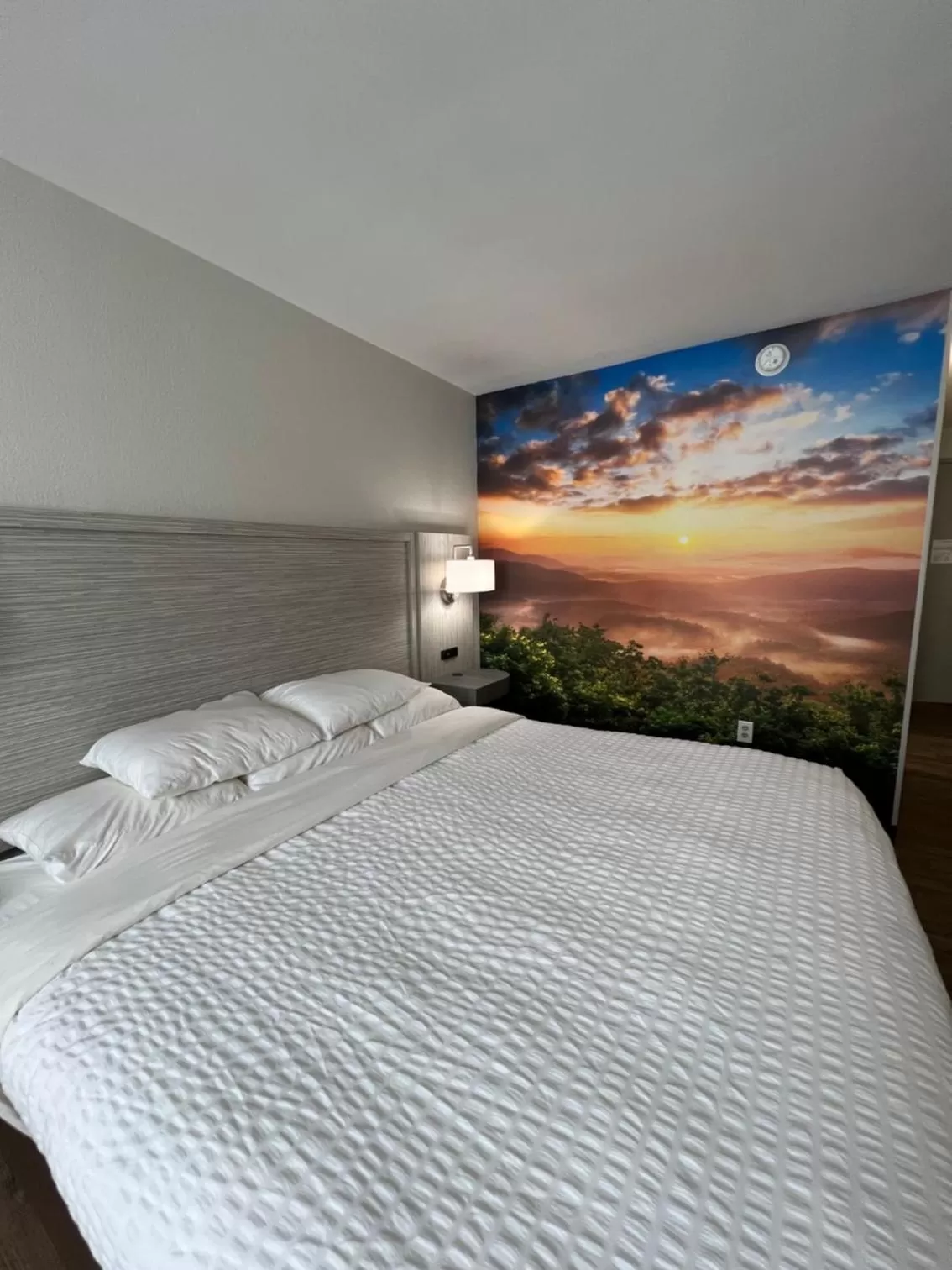 Bed in Clarion Pointe Sylva near Cherokee Area