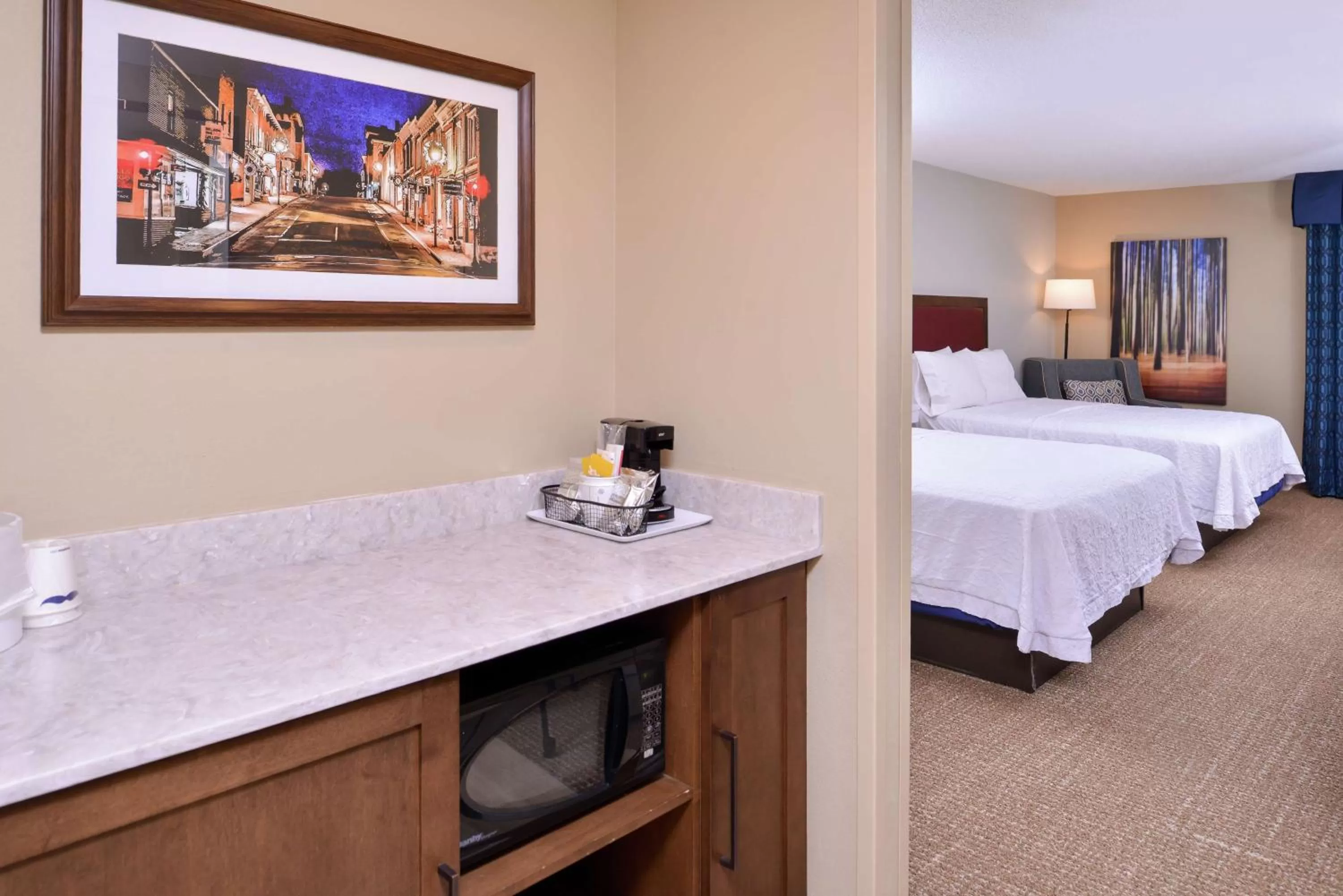 Photo of the whole room, Bed in Hampton Inn Lexington Historic Area