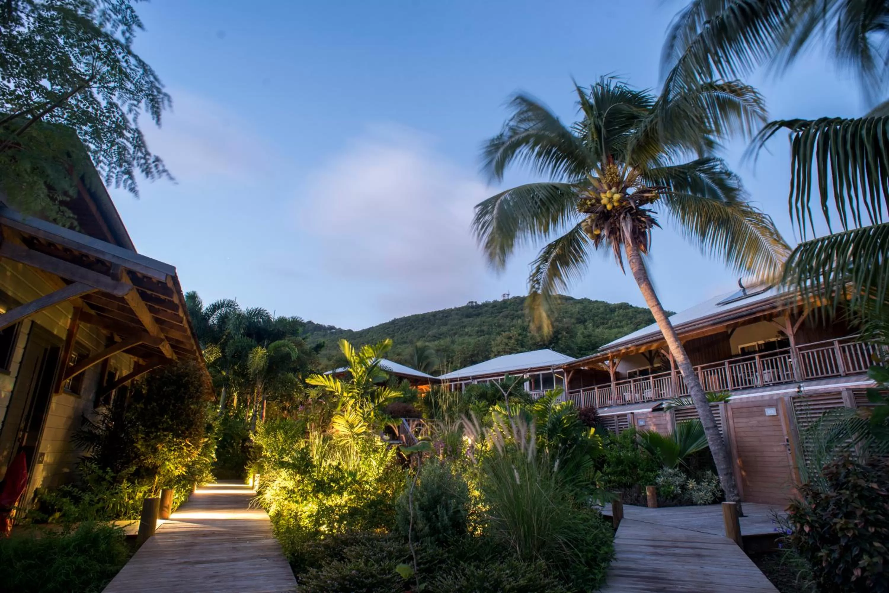 Garden in French Coco