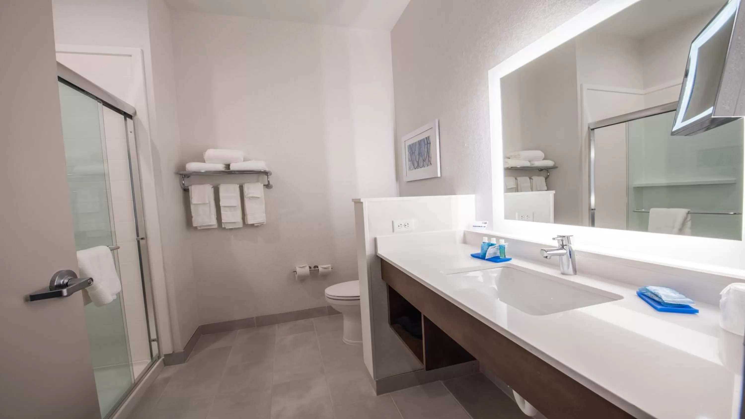 Bathroom in Holiday Inn Express & Suites - Dripping Springs - Austin Area by IHG