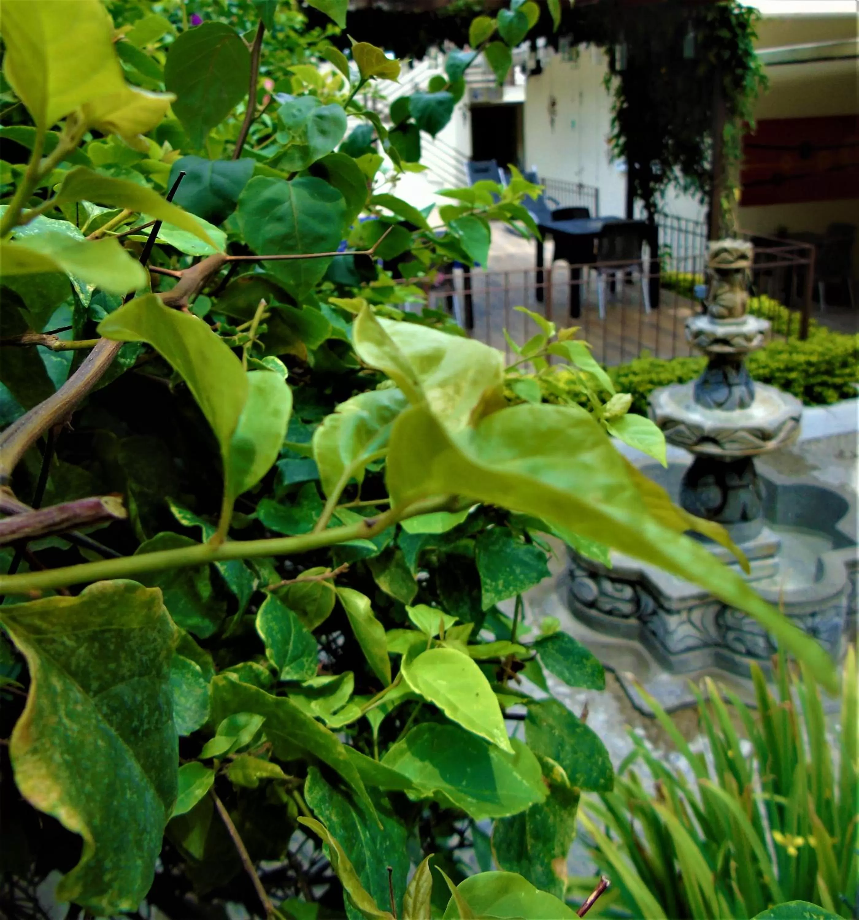 Las Magnolias Hotel Boutique