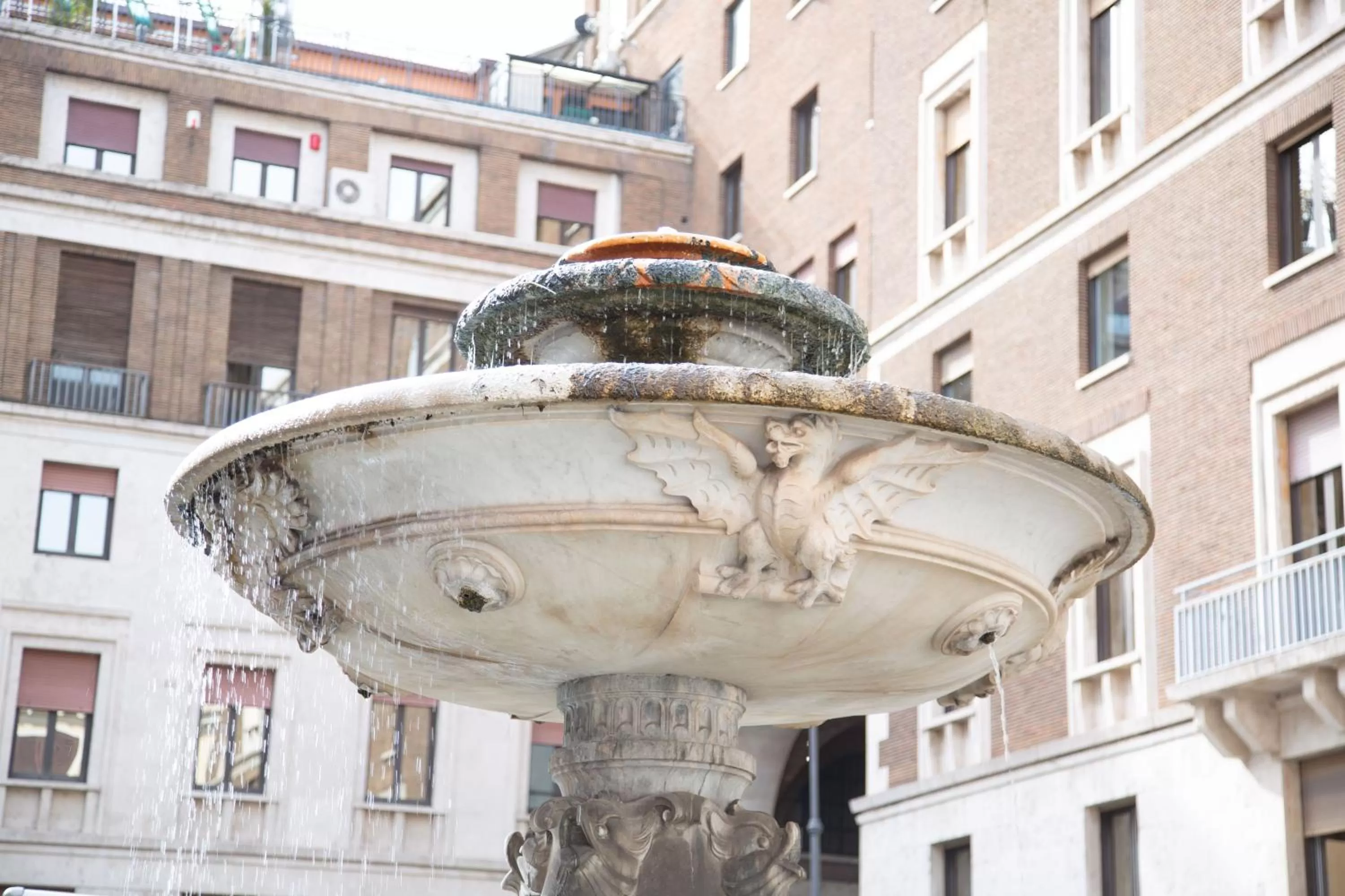 Bird's eye view in Repetita Juvant