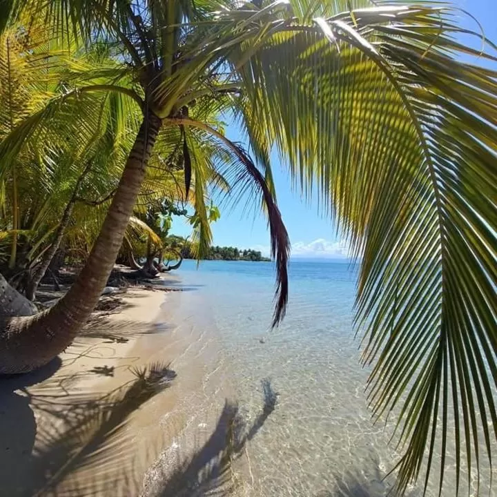 Beach in The Sunsetter Bed & Breakfast