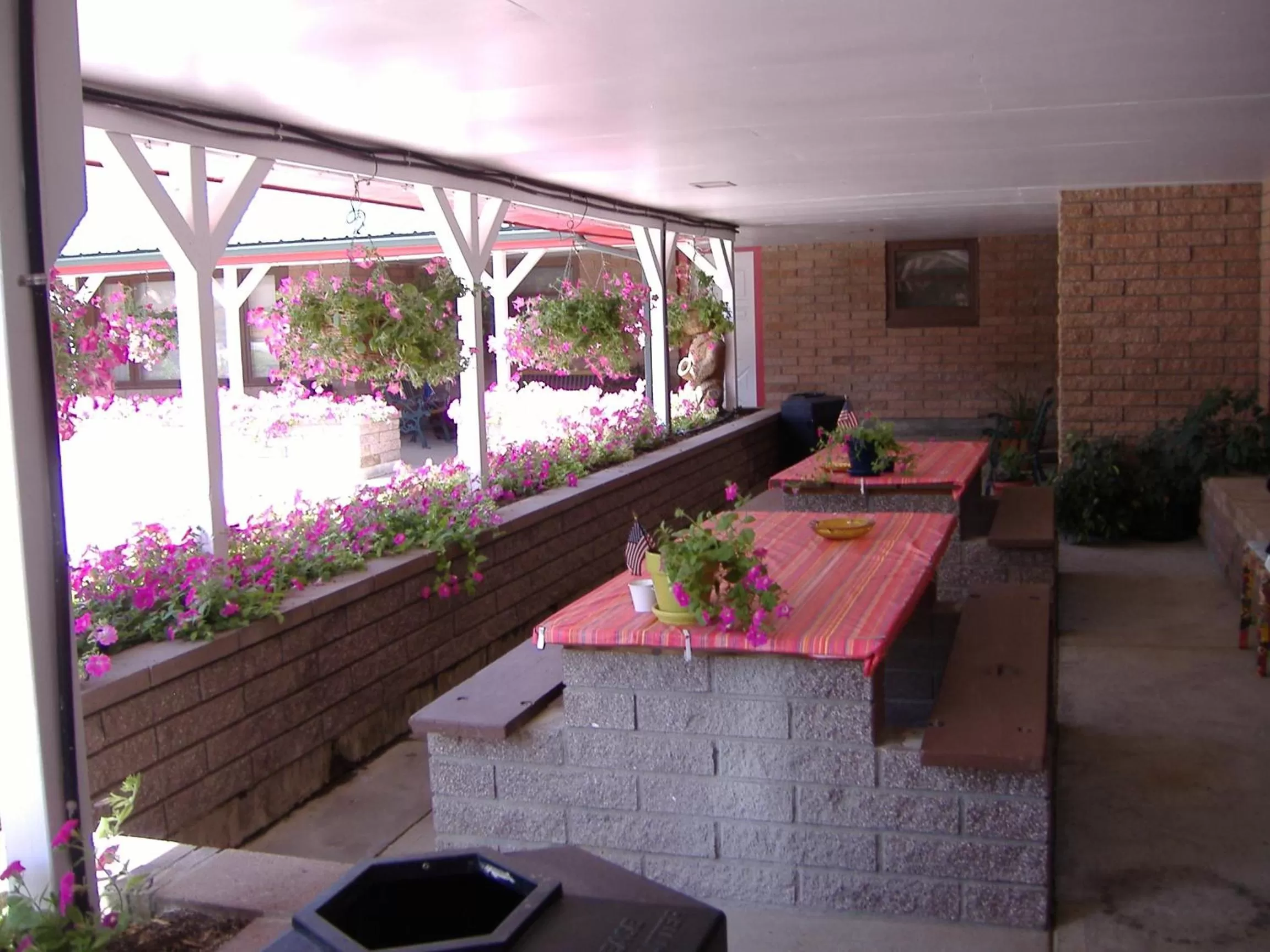 Spring in Greybull Motel