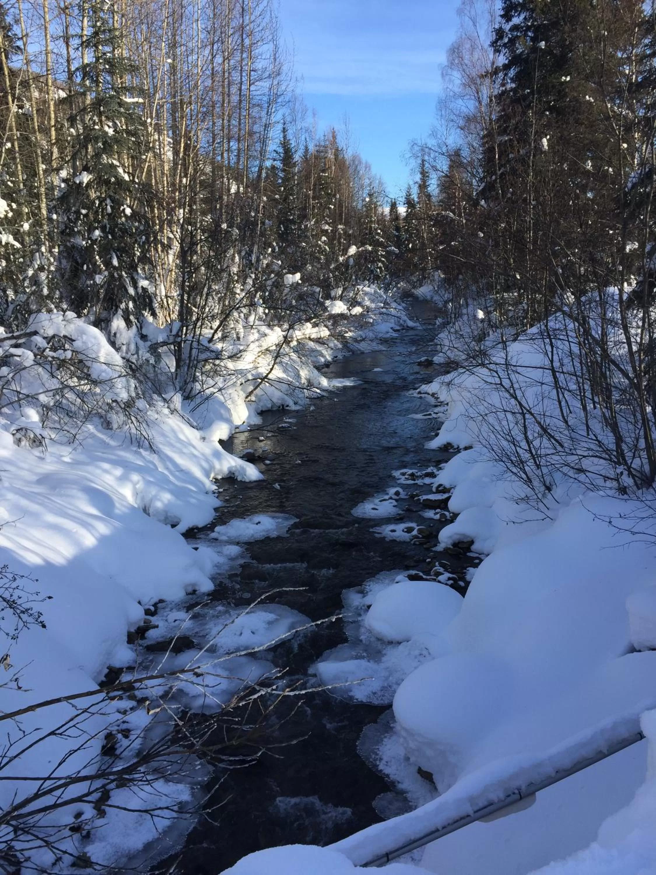 Natural landscape in Chena Hot Springs Resort