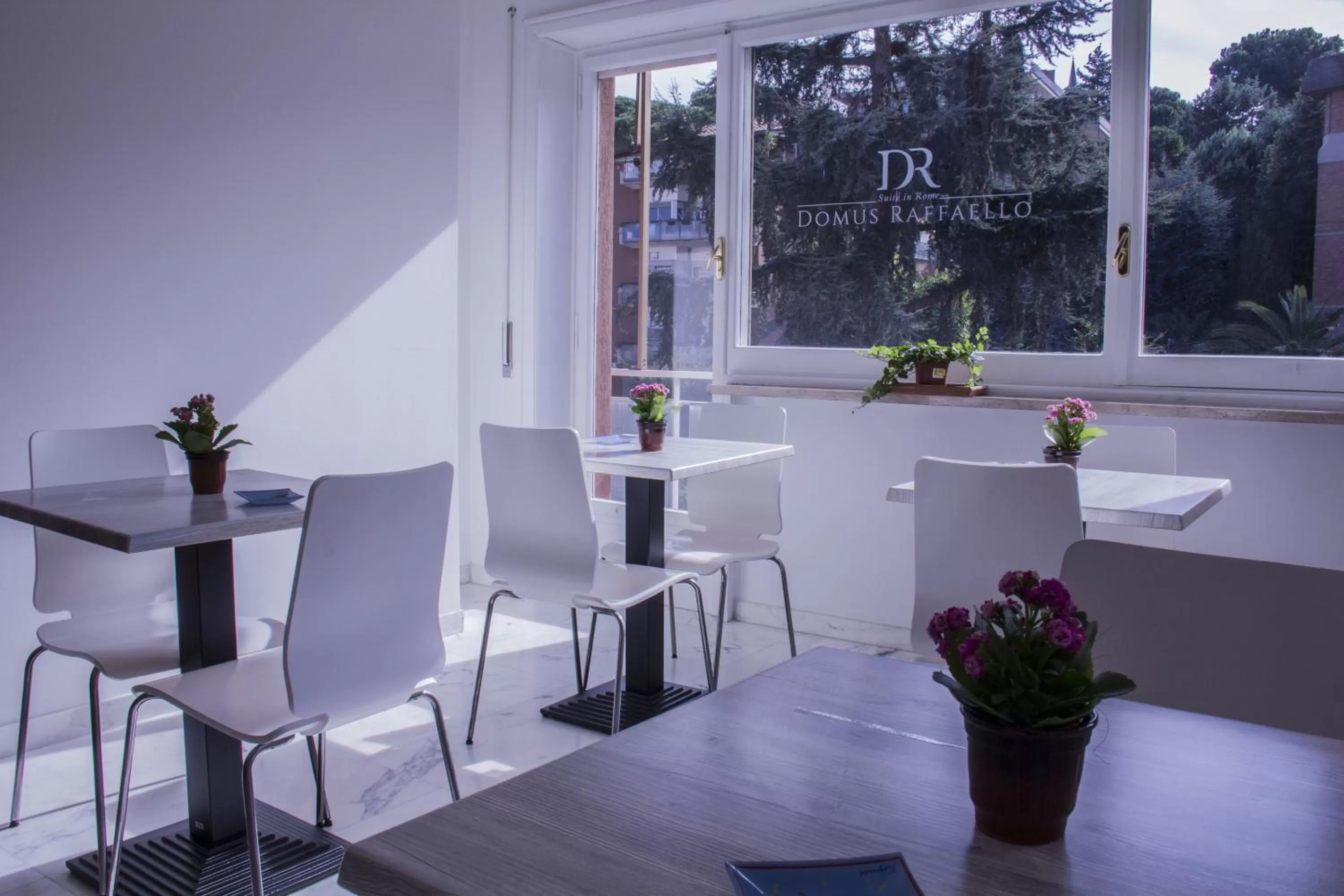 Restaurant/places to eat in Domus Raffaello