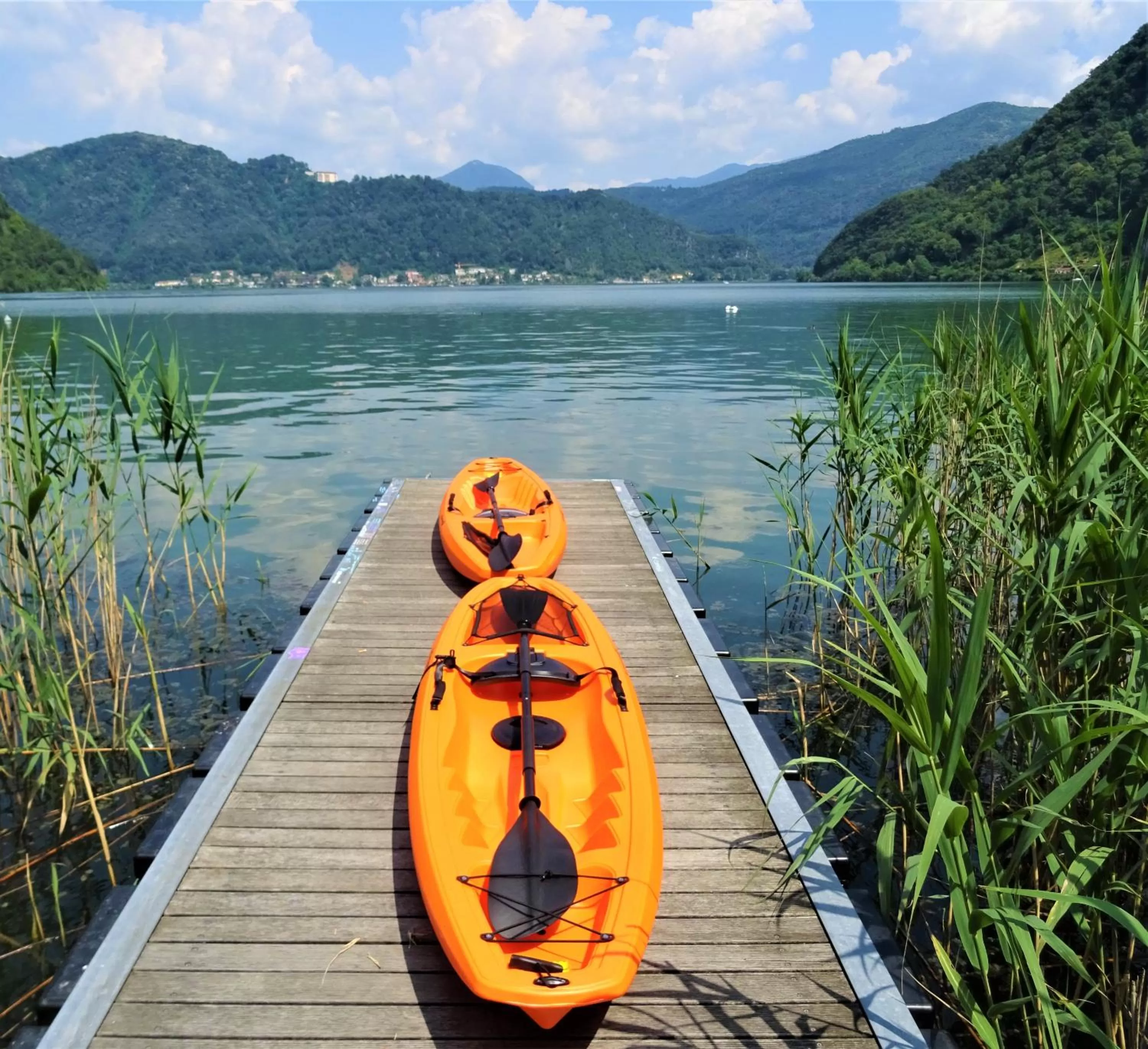 Natural landscape in Yachting Residence