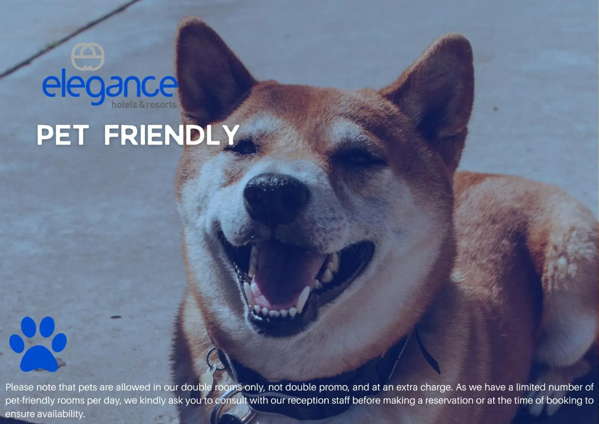 Double or Twin Room - single occupancy in Blu Hostal Diana Double or Twin Room - single occupancy in Blu Hostal Diana