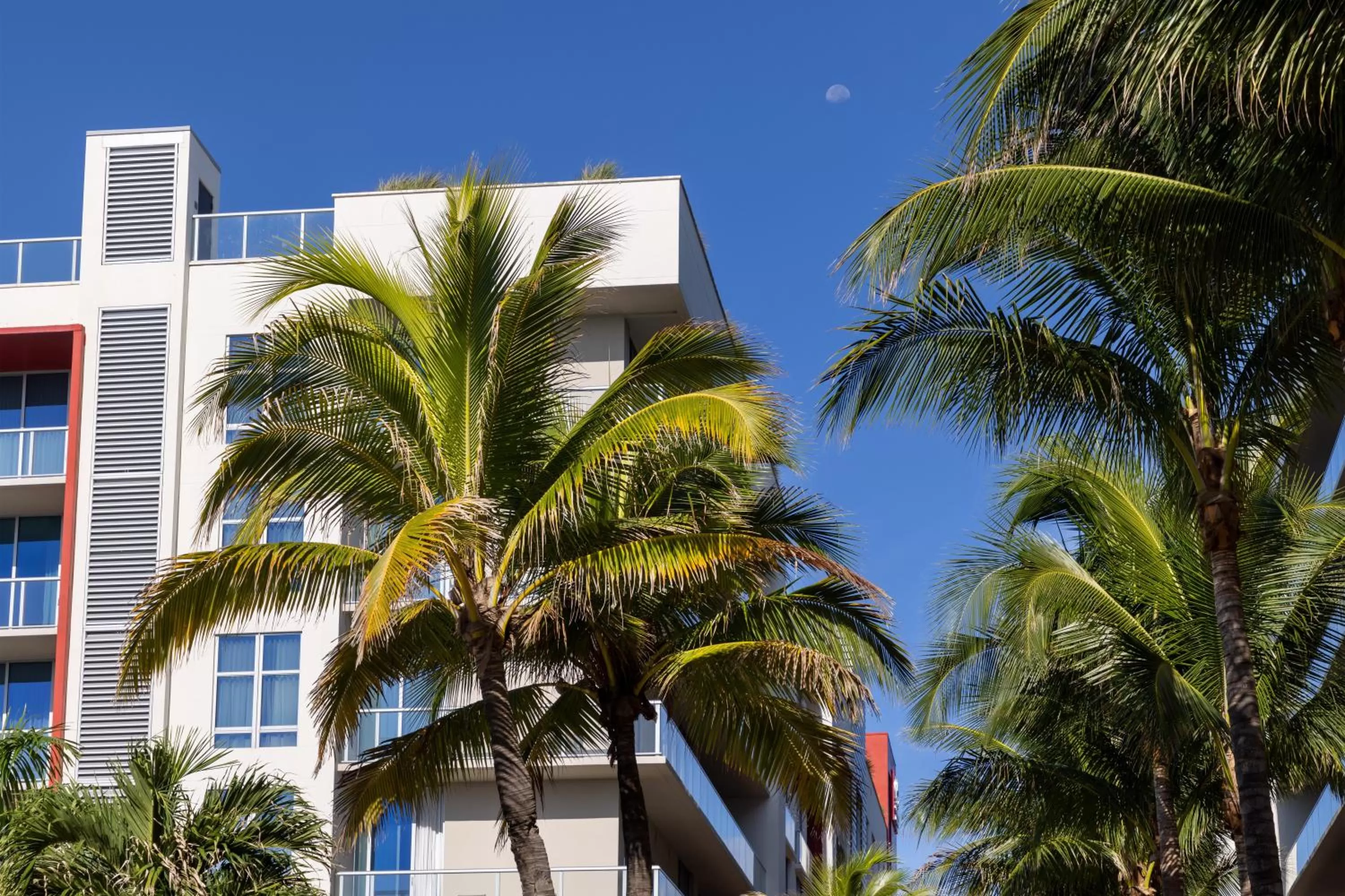Property building in Costa Hollywood Beach Resort - An All Suite Hotel